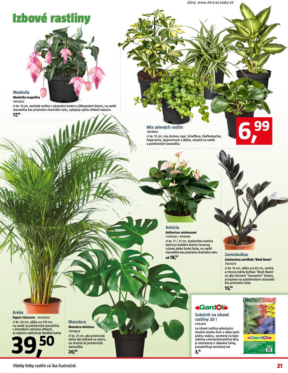 Leták BAUHAUS (9. 2. - 8. 3. 2026) - strana 21 z 29