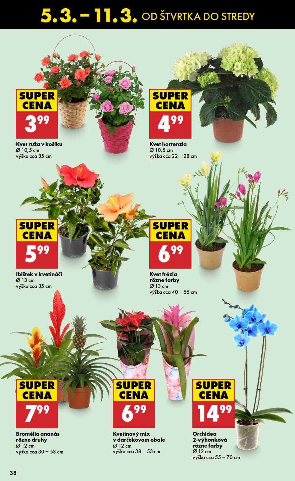 Leták Biedronka (5. 3. - 11. 3. 2026) - strana 38 z 48