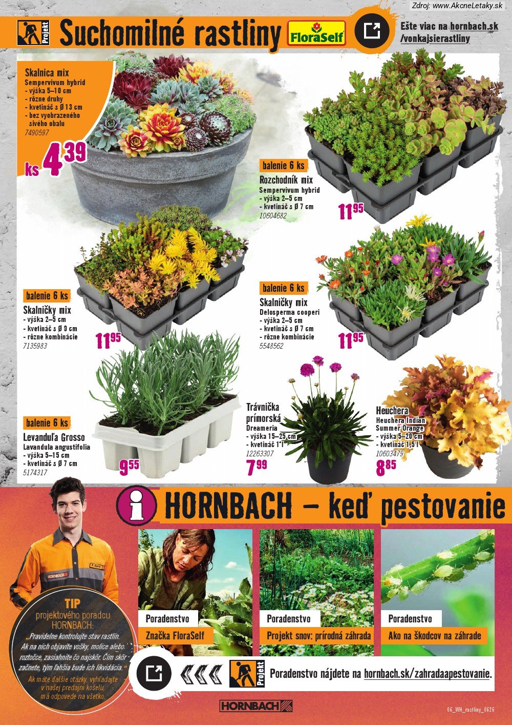 Leták HORNBACH (10. 6. - 24. 6. 2026) - strana 6 z 10