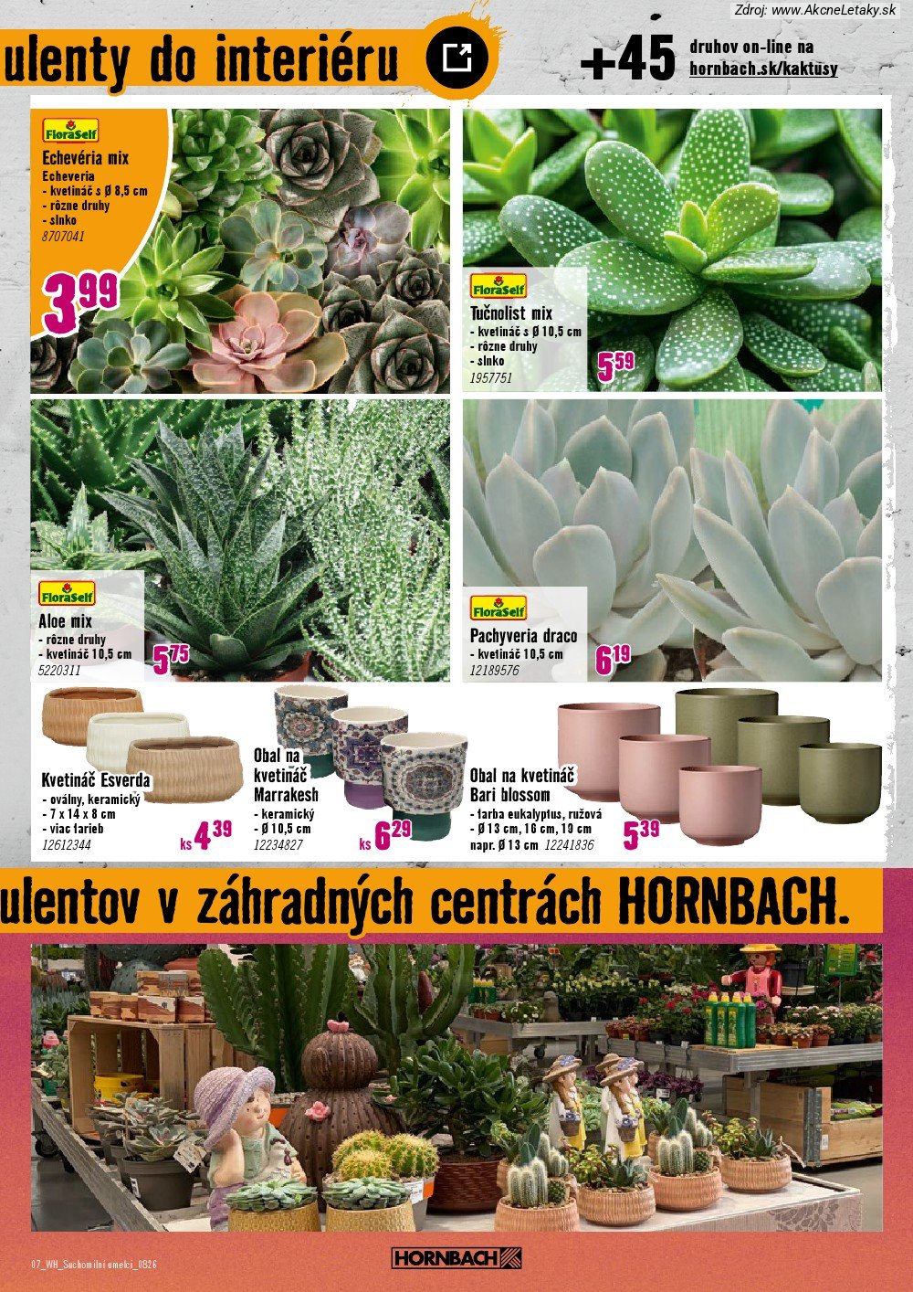 Leták HORNBACH (12. 8. - 26. 8. 2026) - strana 7 z 10