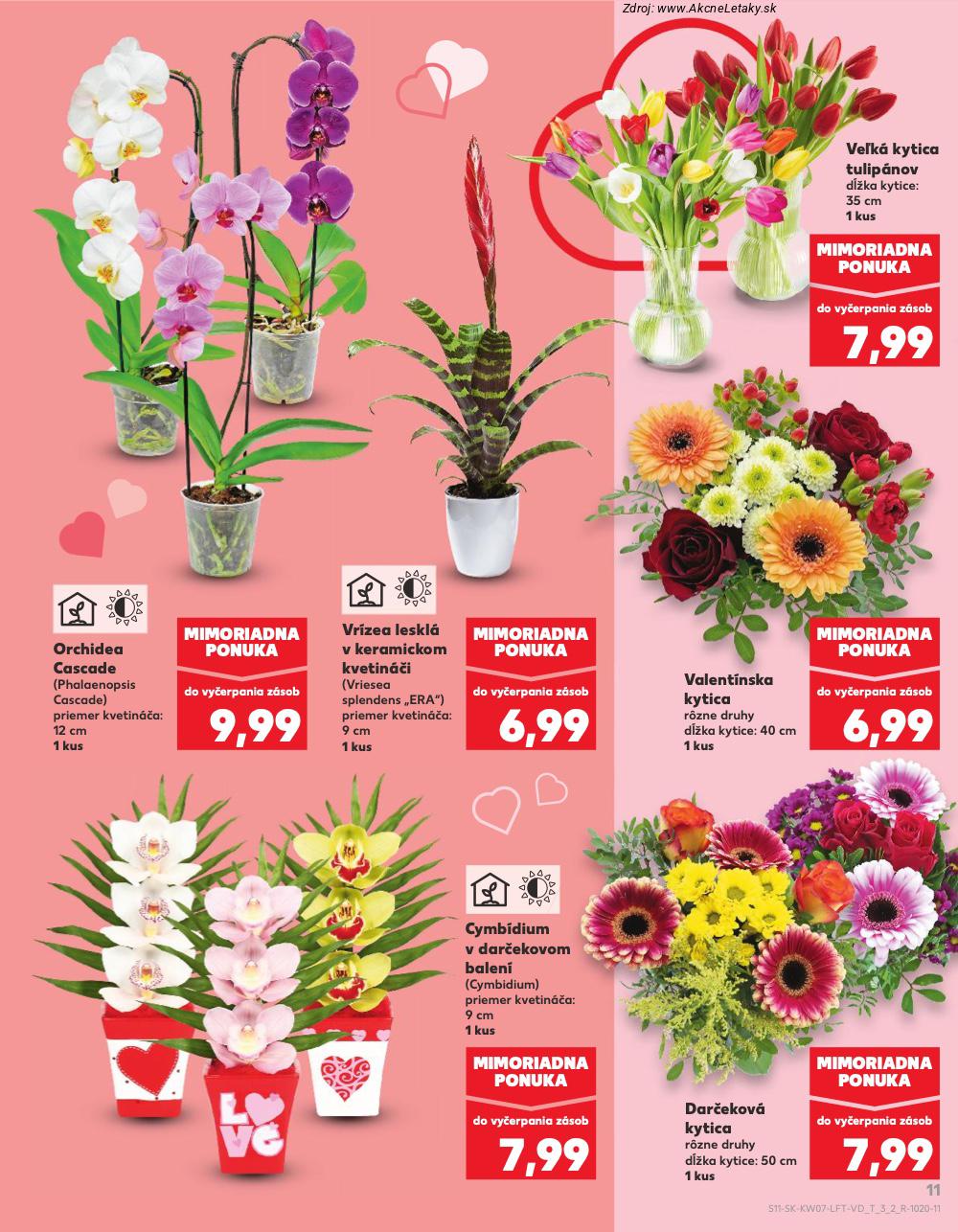 Leták Kaufland (12. 2. - 18. 2. 2026) - strana 11 z 76