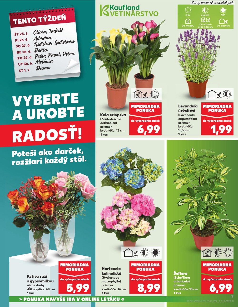 Leták Kaufland (25. 6. - 1. 7. 2026) - strana 7 z 84