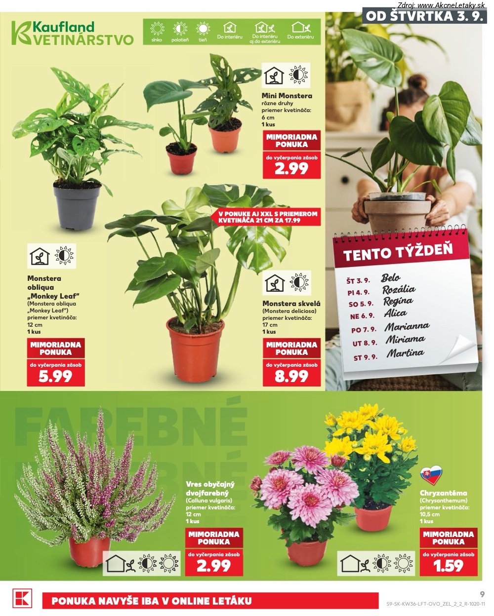 Leták Kaufland - strana 9