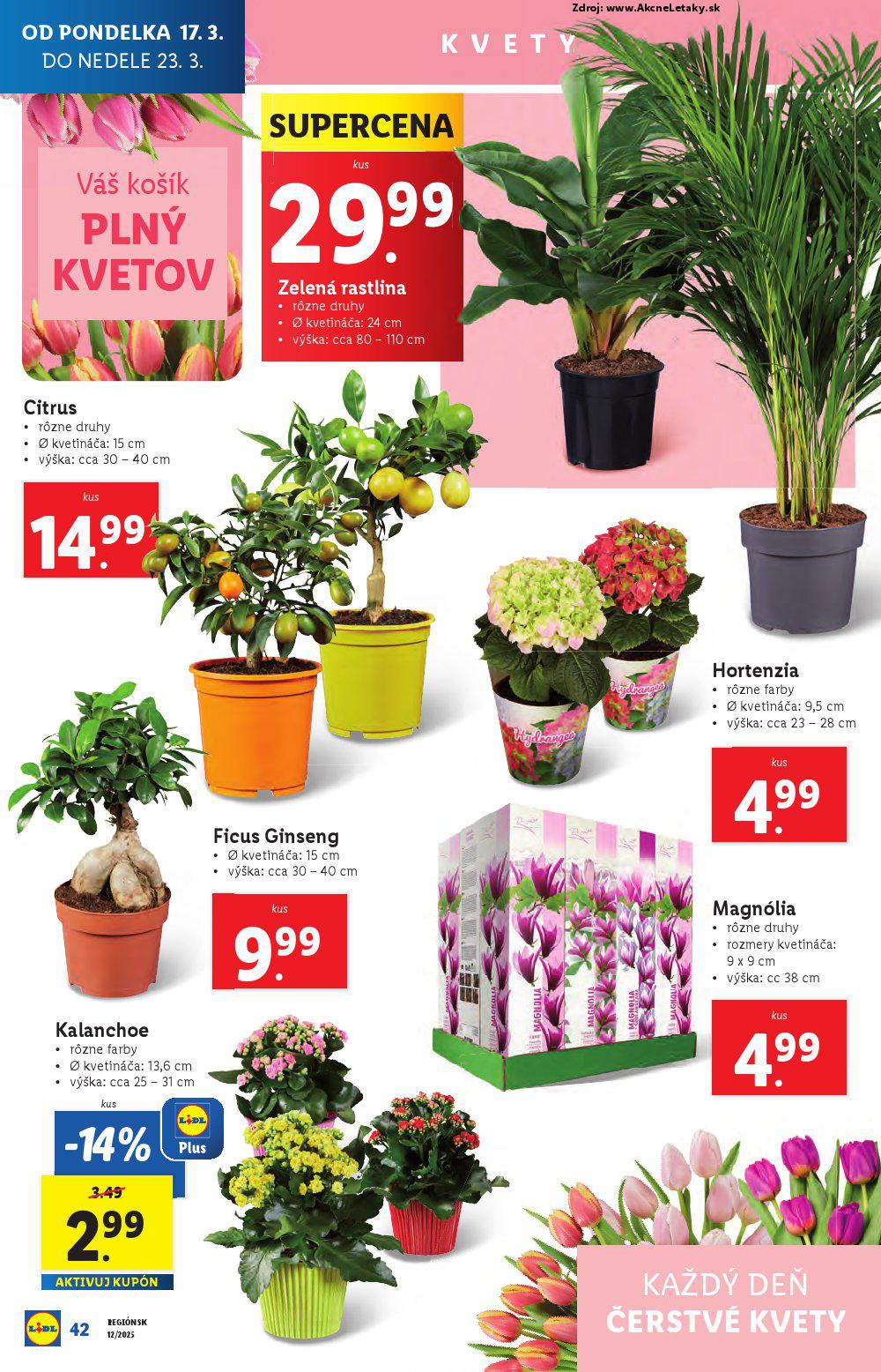 Leták Lidl - strana 49