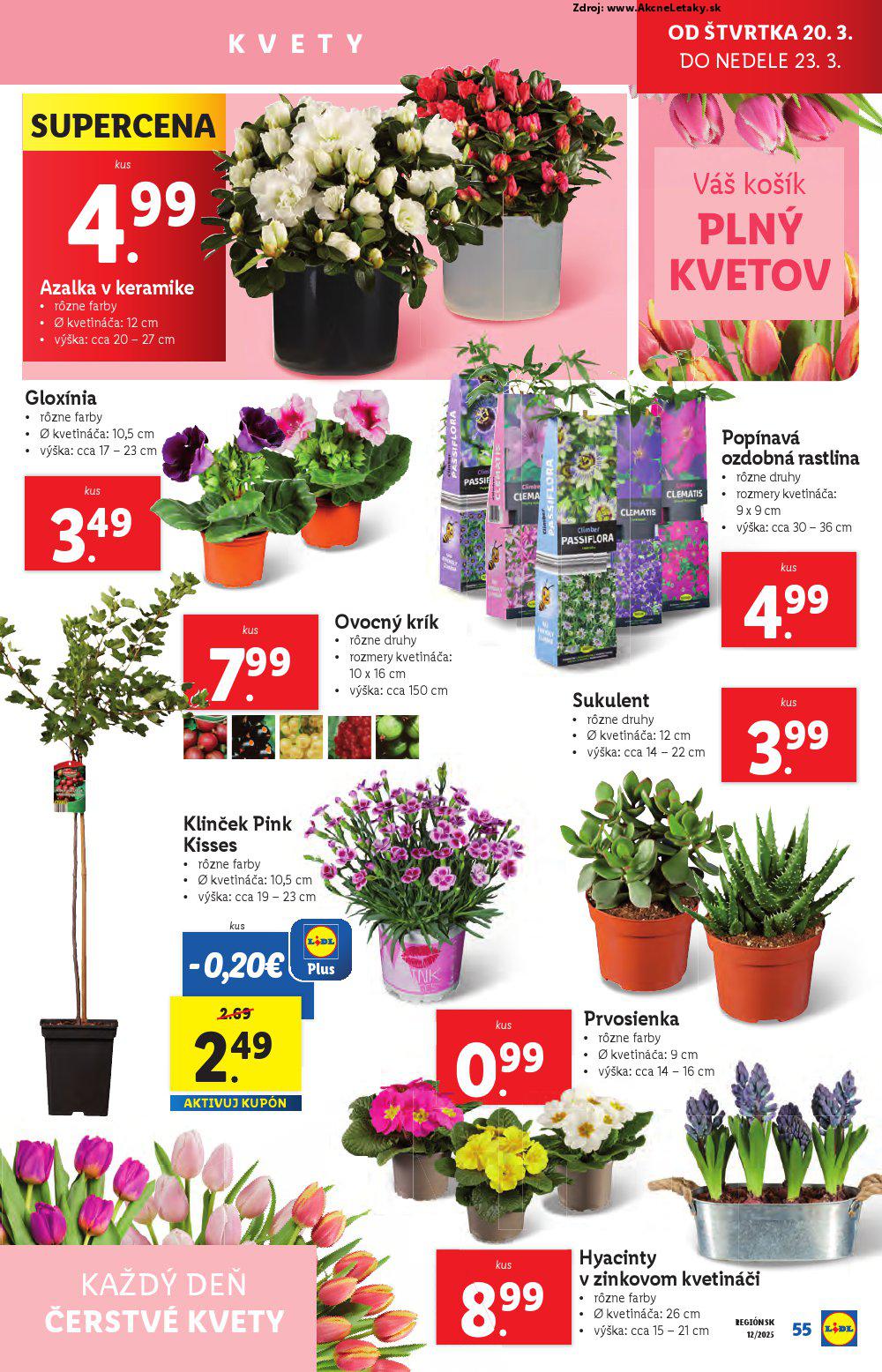 Leták Lidl - strana 63