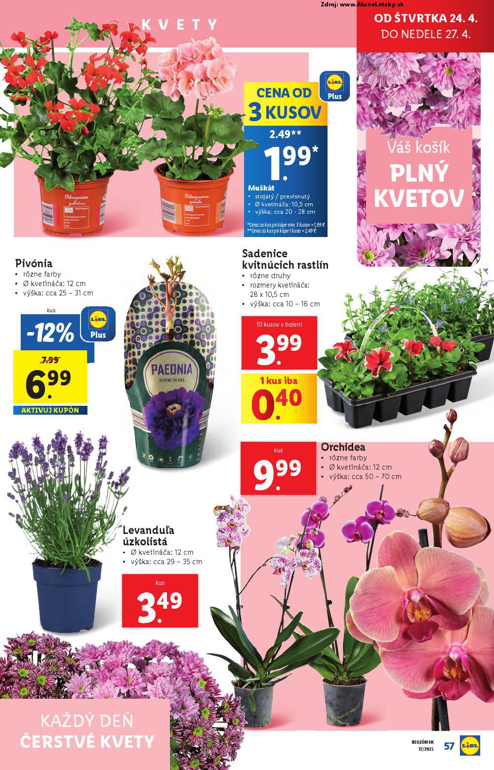 Leták Lidl (22. 4. - 27. 4. 2025) - strana 57 z 105