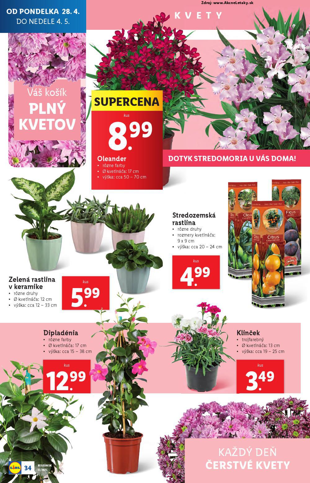 Leták Lidl - strana 34
