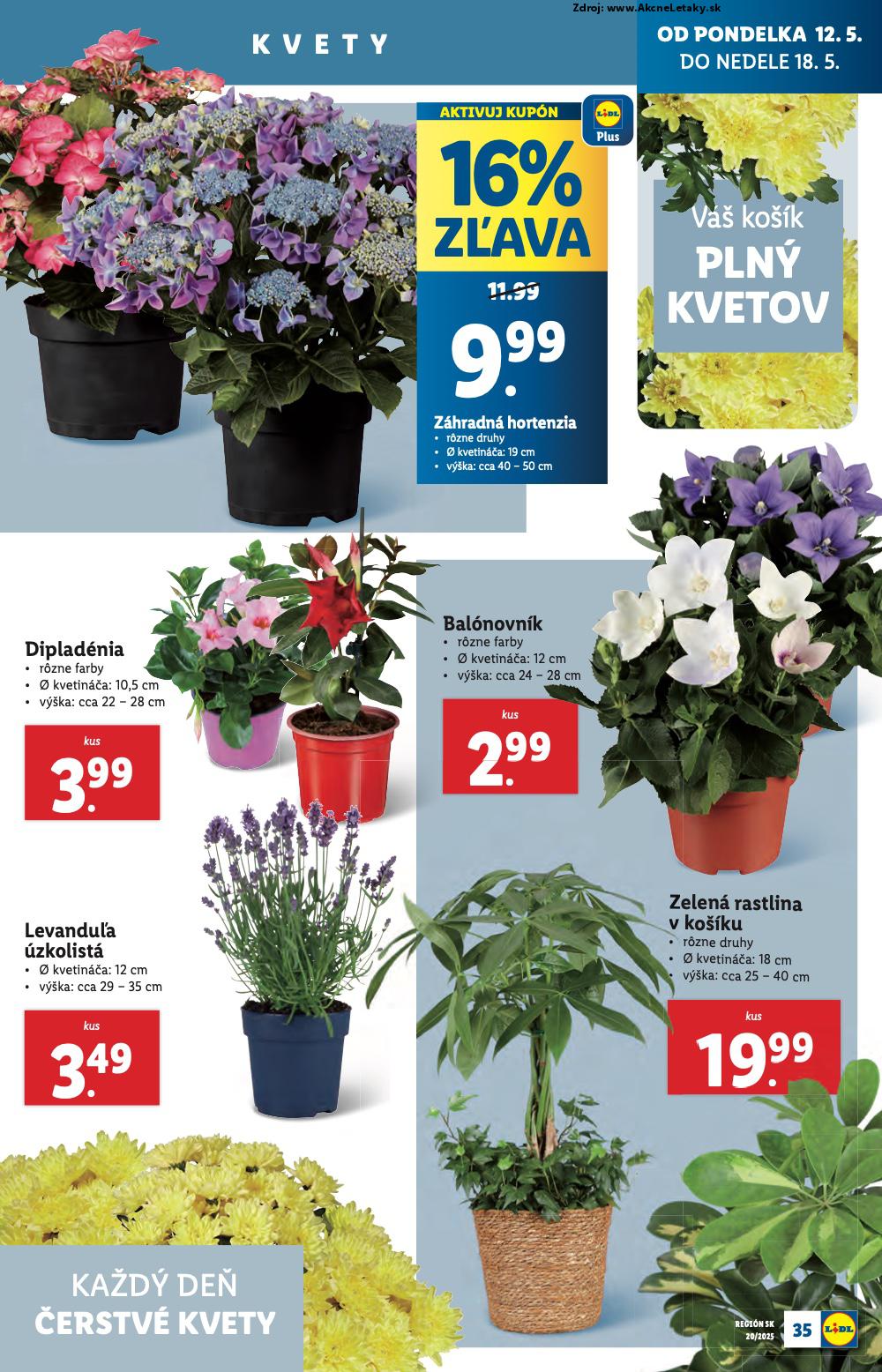 Leták Lidl (12. 5. - 18. 5. 2025) - strana 39 z 84