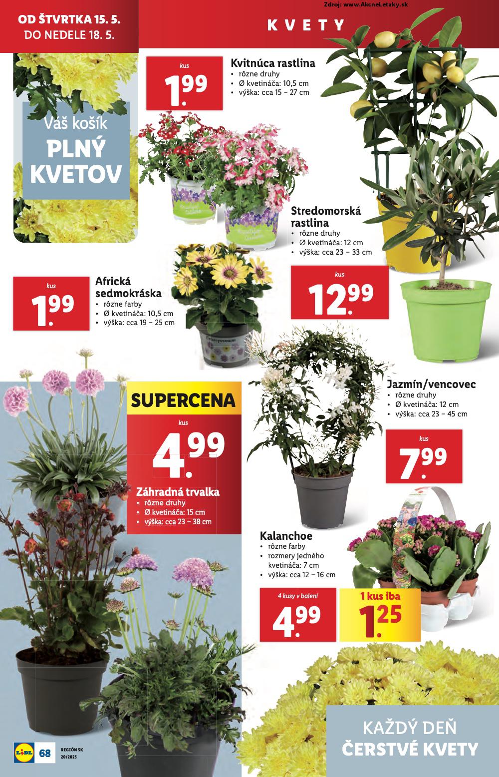 Leták Lidl (12. 5. - 18. 5. 2025) - strana 74 z 84