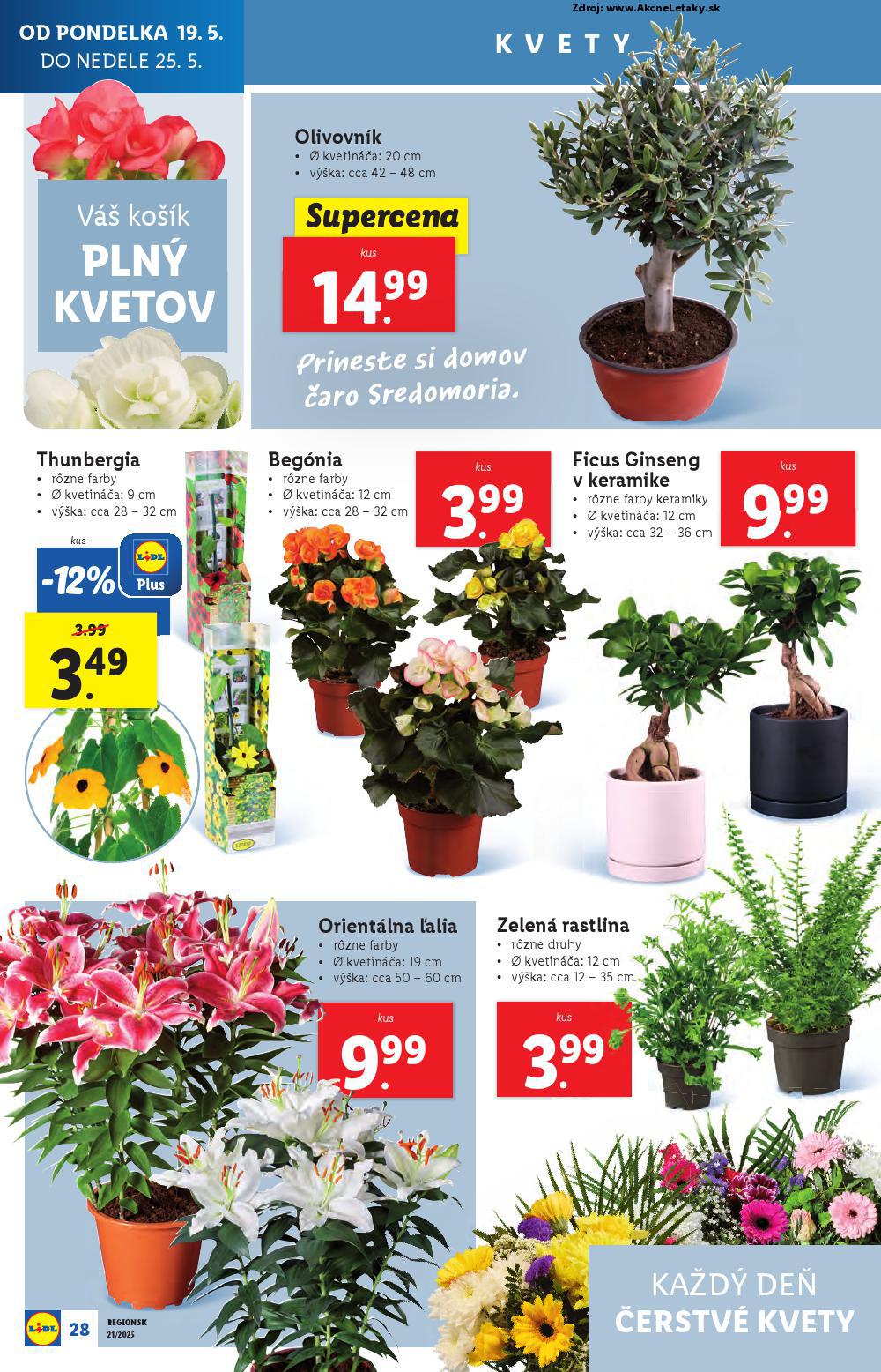 Leták Lidl (19. 5. - 25. 5. 2025) - strana 40 z 108