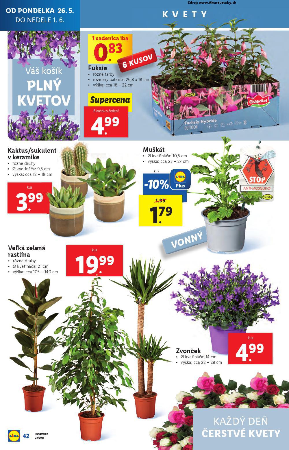 Leták Lidl (26. 5. - 1. 6. 2025) - strana 60 z 98