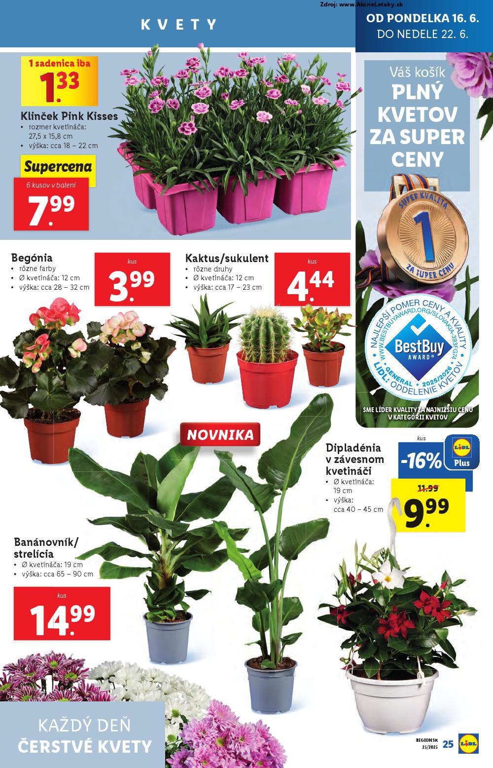 Leták Lidl - strana 29
