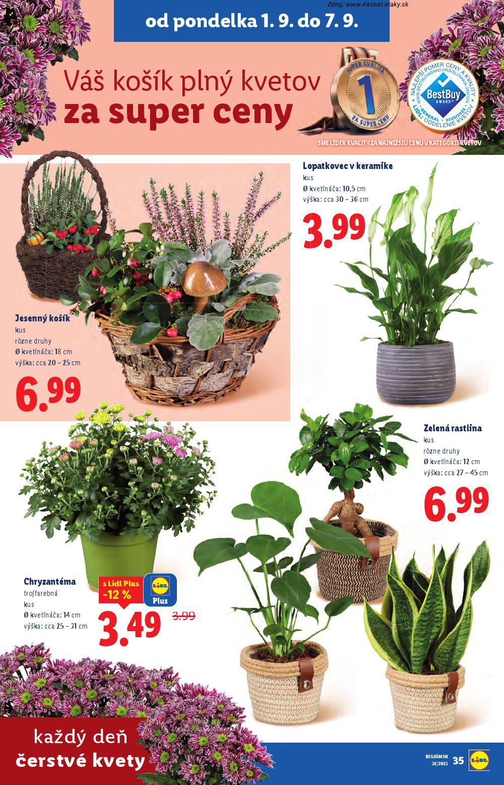 Leták Lidl - strana 45
