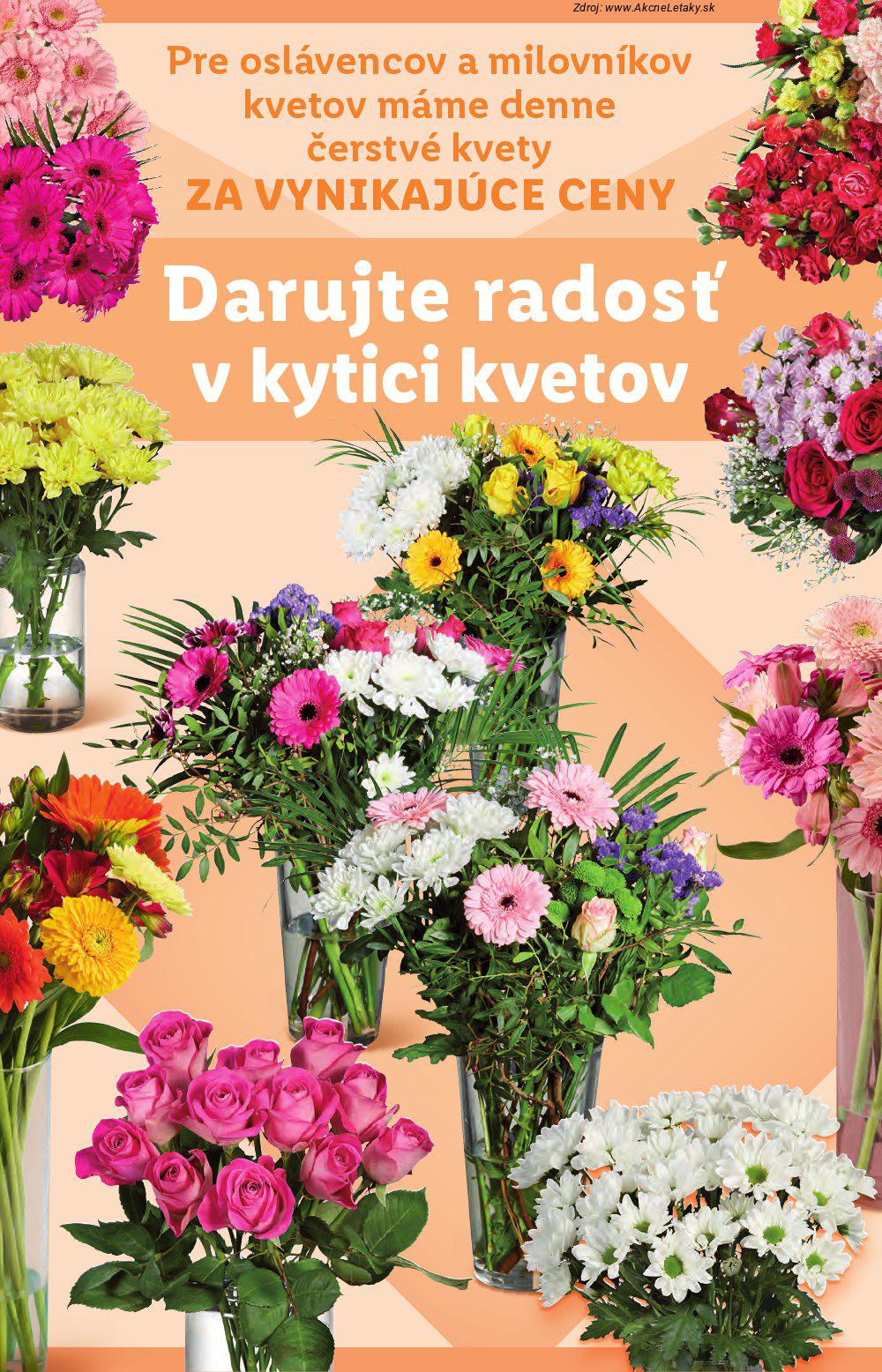 Leták Lidl (8. 9. - 14. 9. 2025) - strana 45 z 91