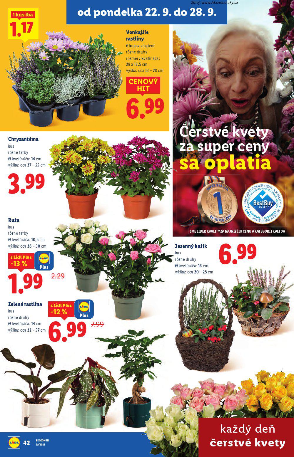 Leták Lidl (22. 9. - 28. 9. 2025) - strana 48 z 99