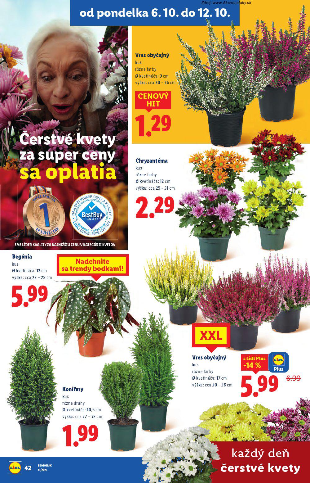 Leták Lidl (6. 10. - 12. 10. 2025) - strana 55 z 108