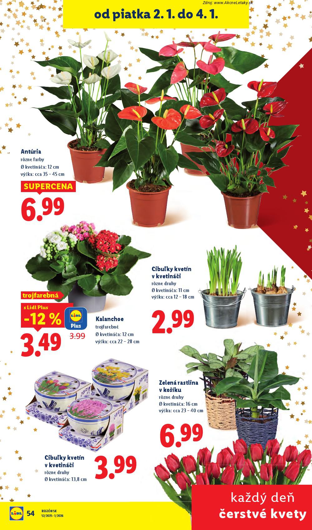 Leták Lidl (27. 12. - 31. 12. 2025) - strana 84 z 103