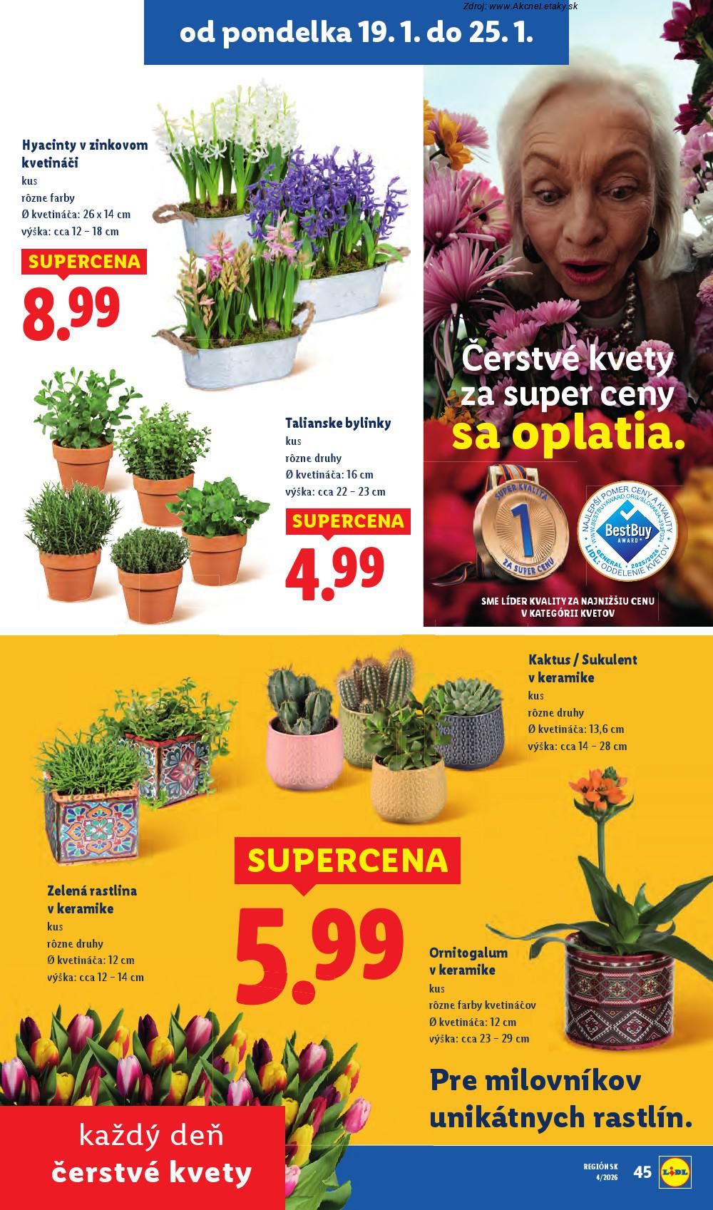 Leták Lidl (19. 1. - 25. 1. 2026) - strana 46 z 94