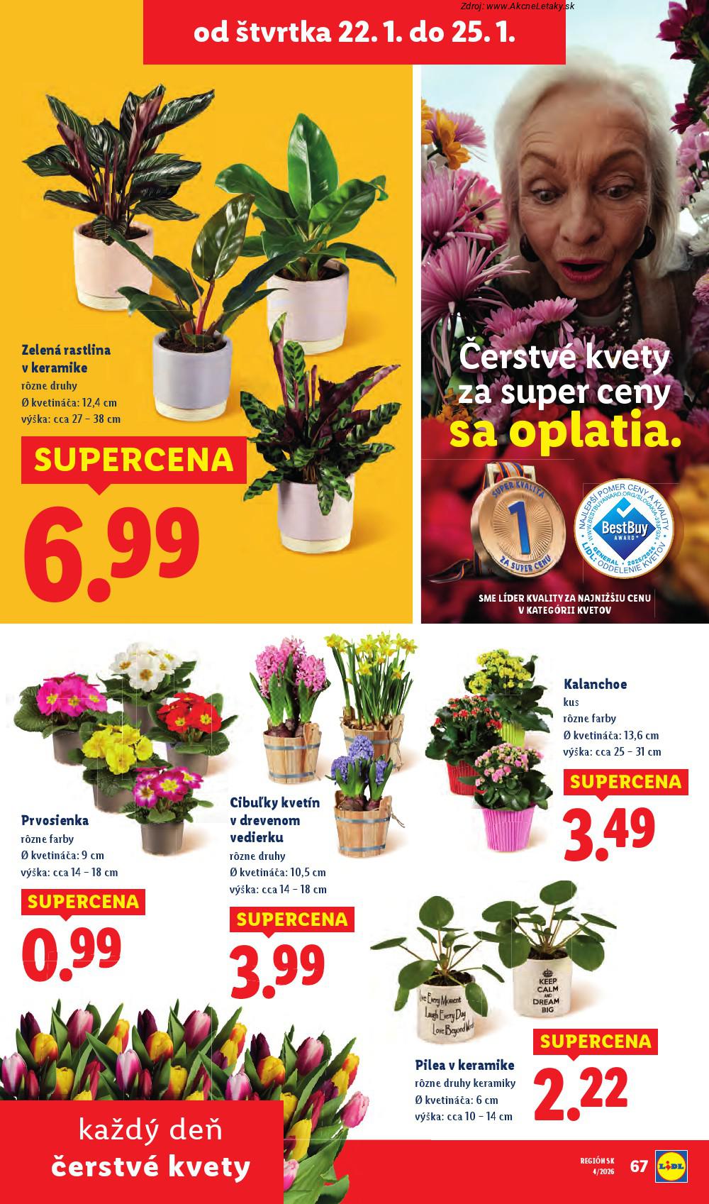 Leták Lidl - strana 77
