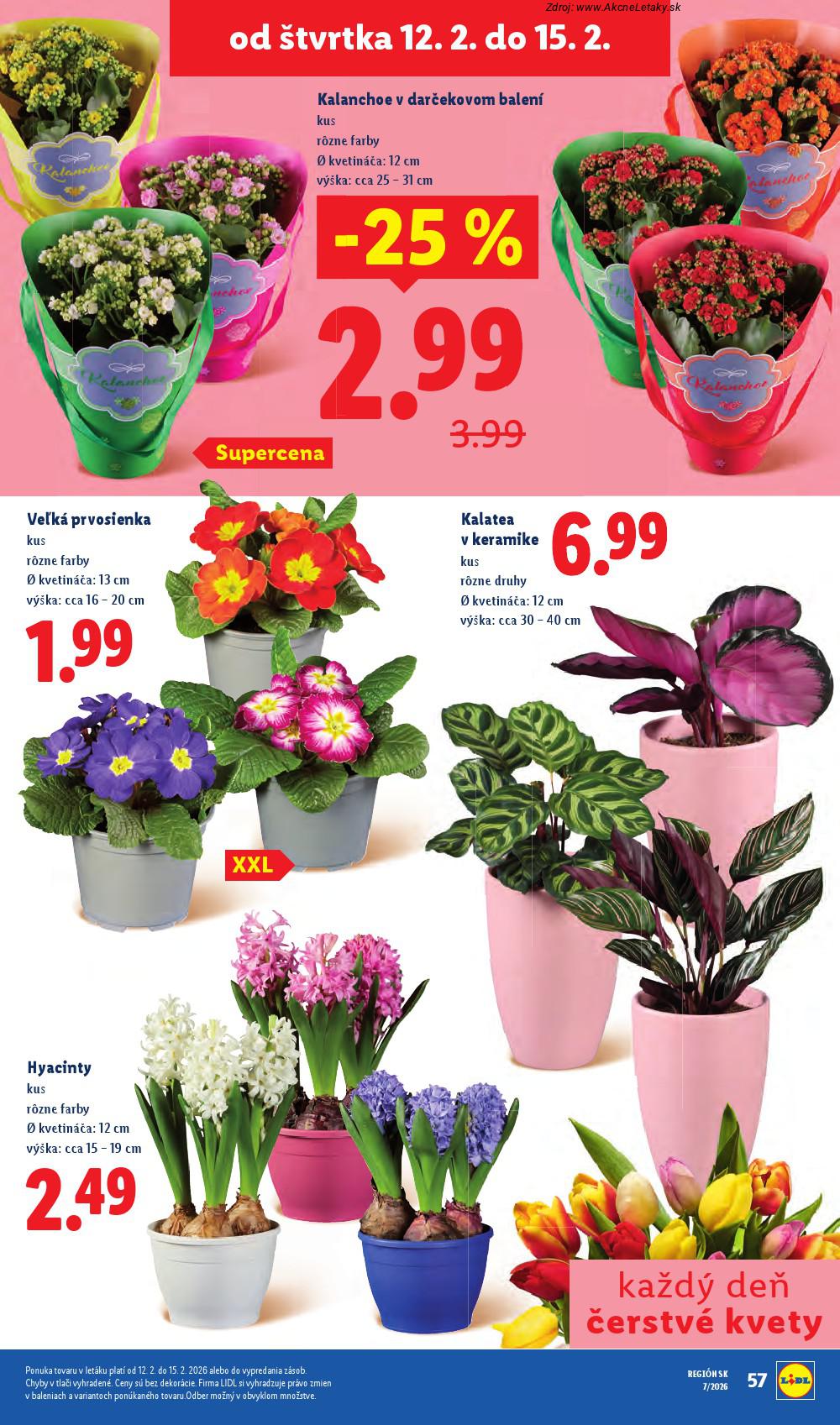 Leták Lidl (12. 2. - 15. 2. 2026) - strana 20 z 60