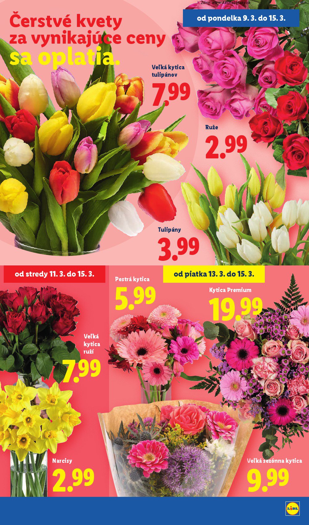 Leták Lidl - strana 41