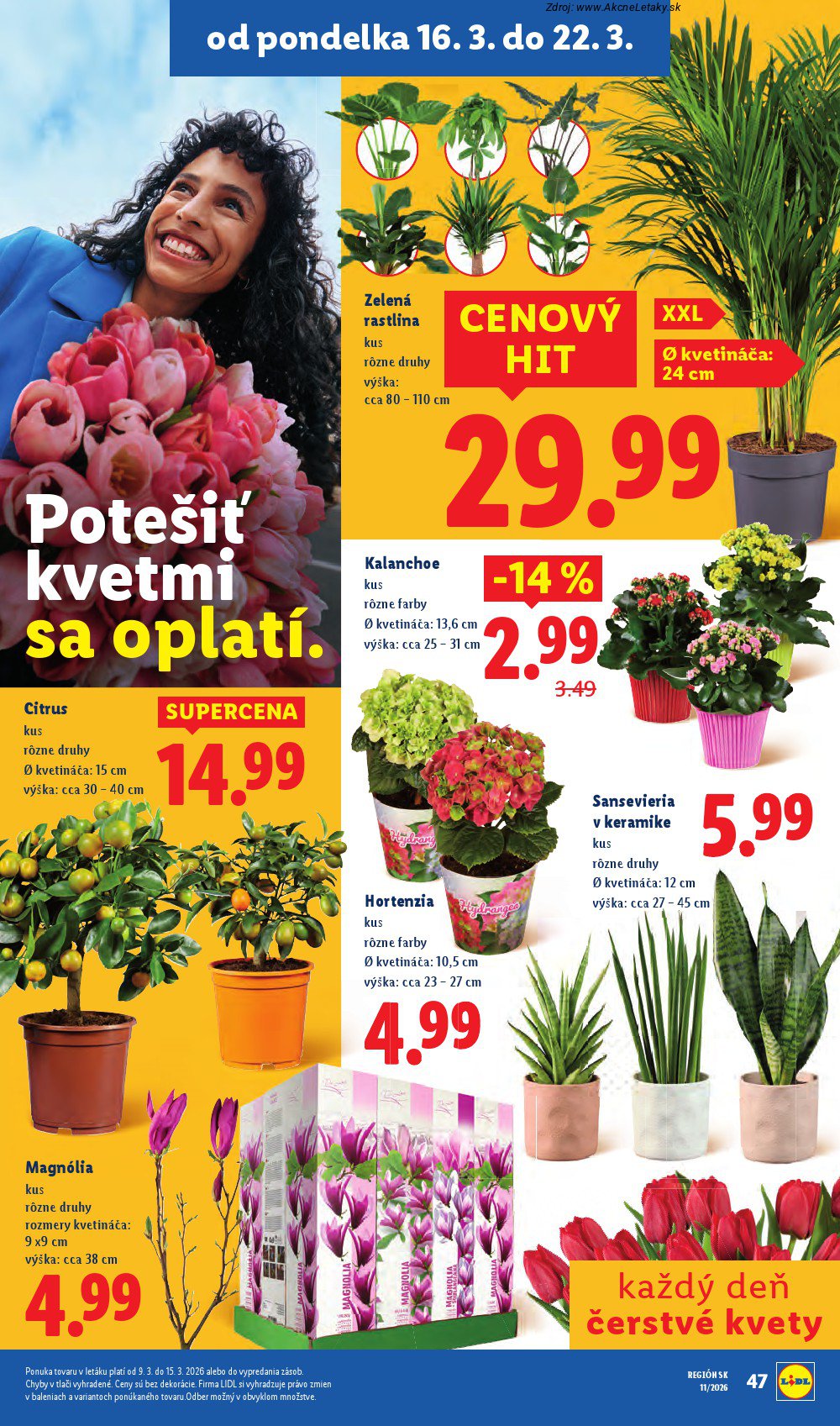 Leták Lidl - strana 56