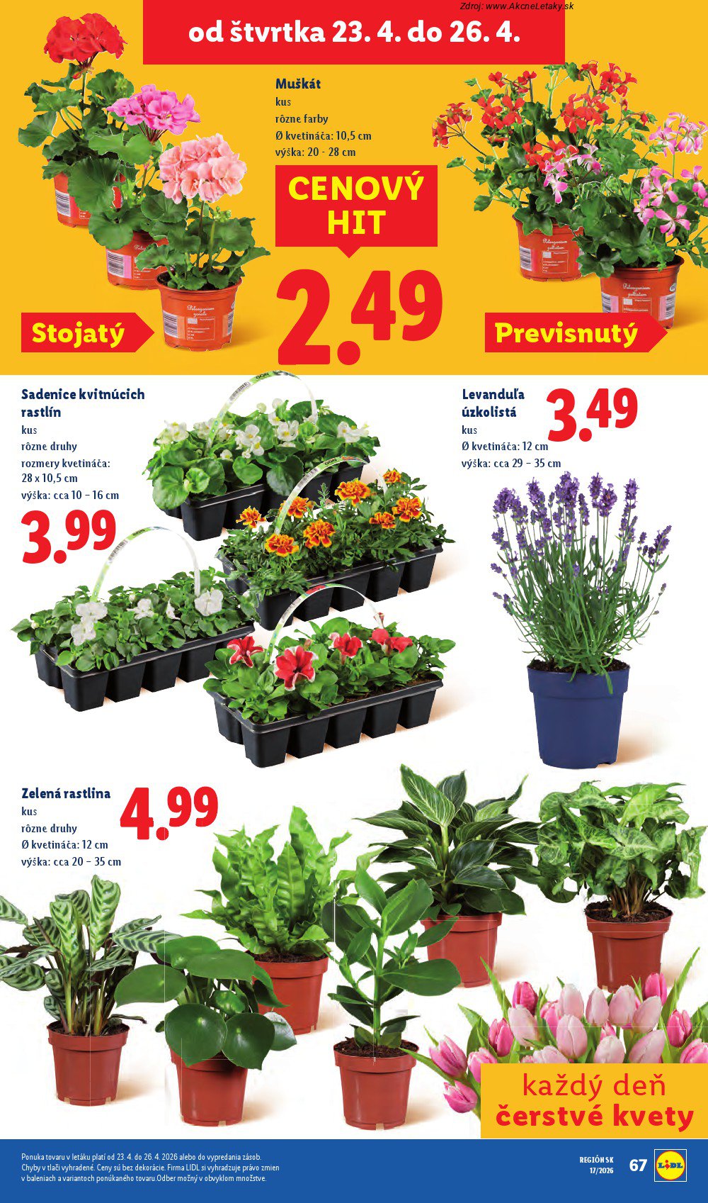 Leták Lidl - strana 80