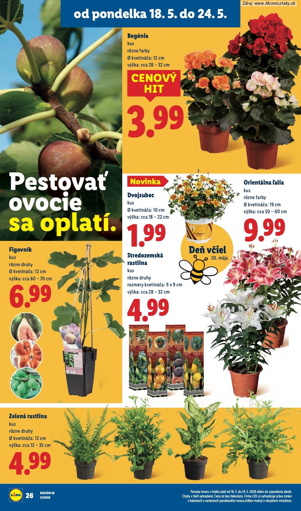Leták Lidl (18. 5. - 24. 5. 2026) - strana 32 z 97