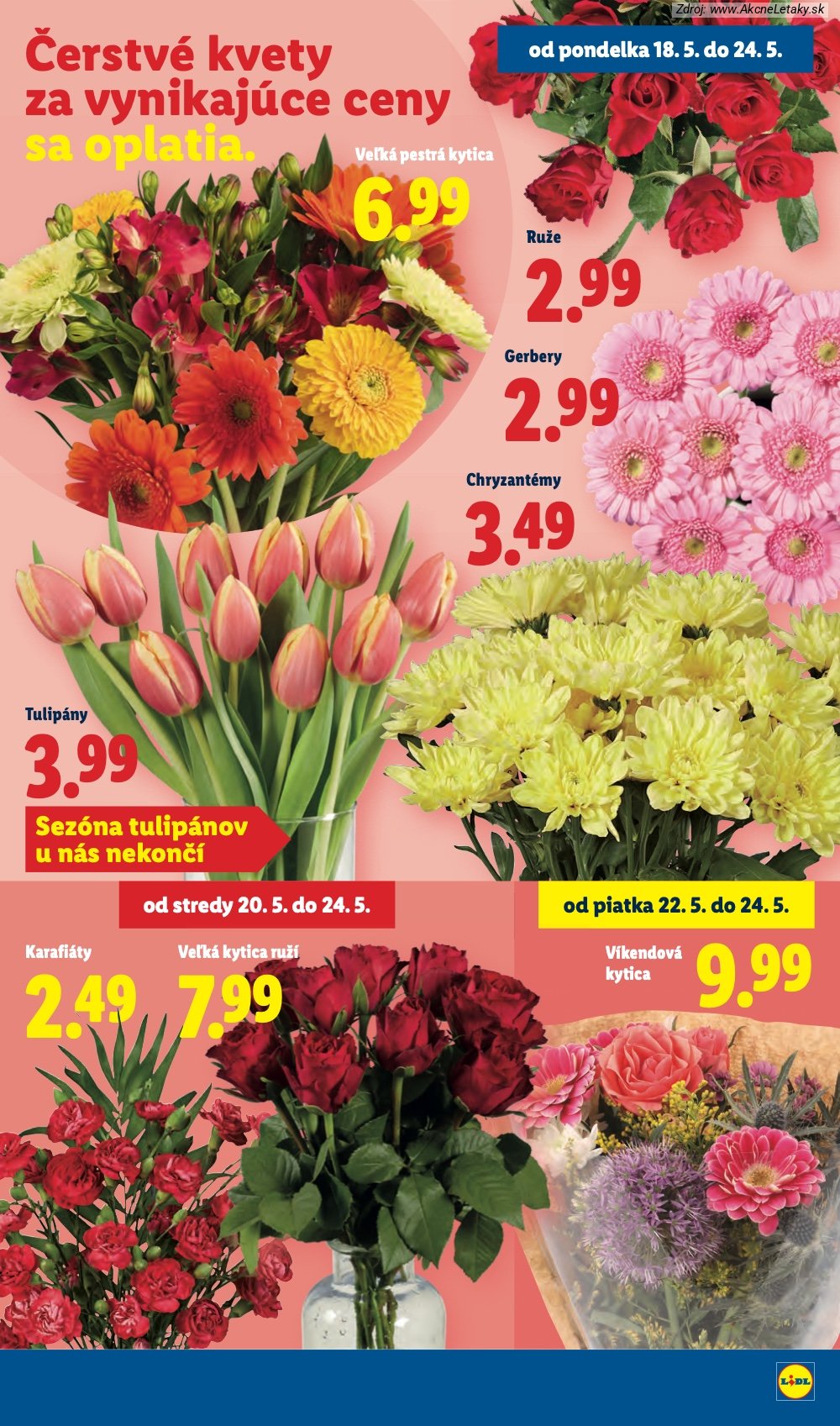 Leták Lidl (18. 5. - 24. 5. 2026) - strana 33 z 97