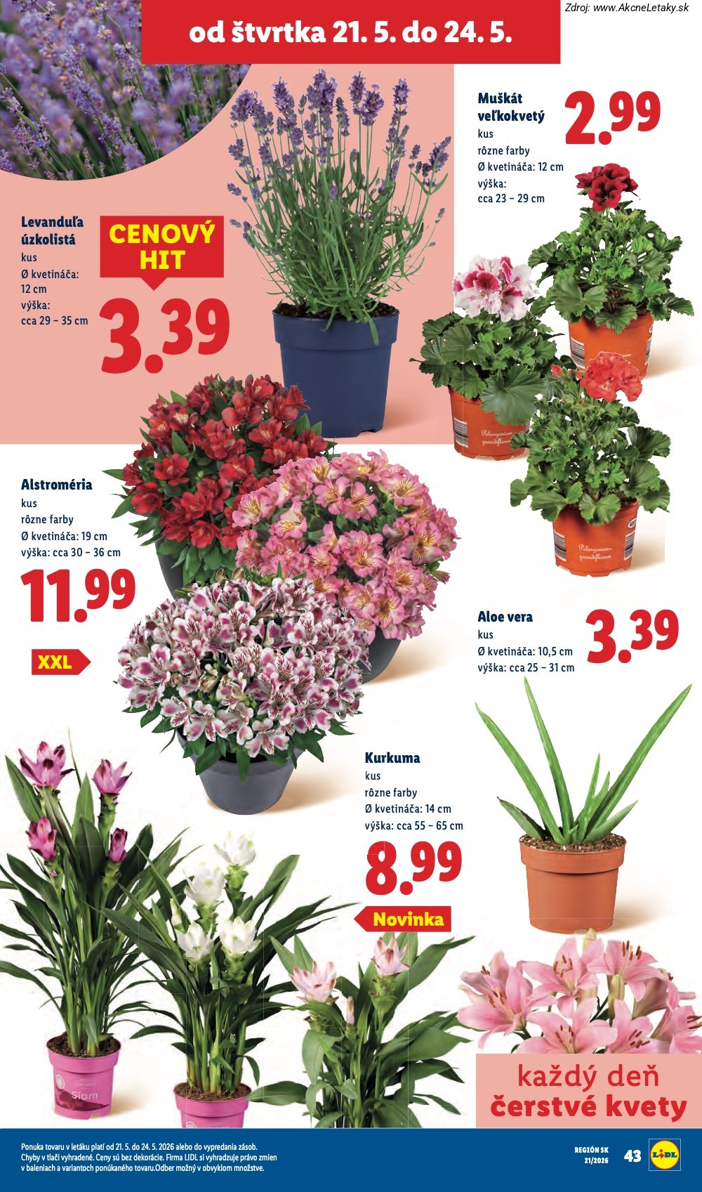 Leták Lidl (18. 5. - 24. 5. 2026) - strana 78 z 97