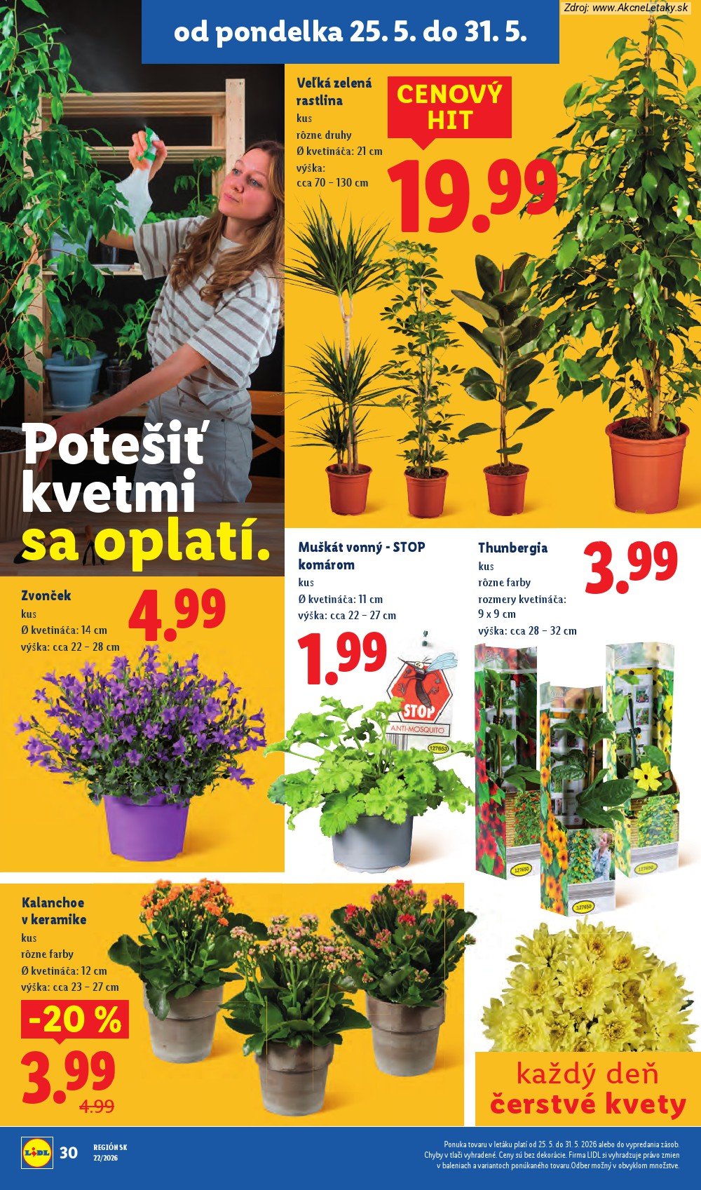 Leták Lidl (25. 5. - 31. 5. 2026) - strana 48 z 109