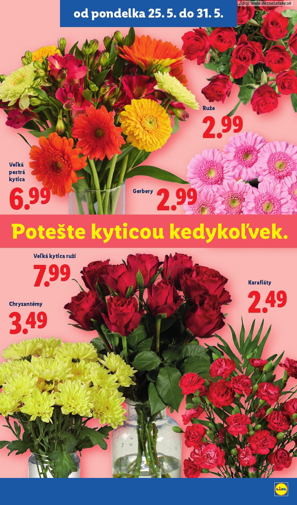 Leták Lidl (25. 5. - 31. 5. 2026) - strana 49 z 109