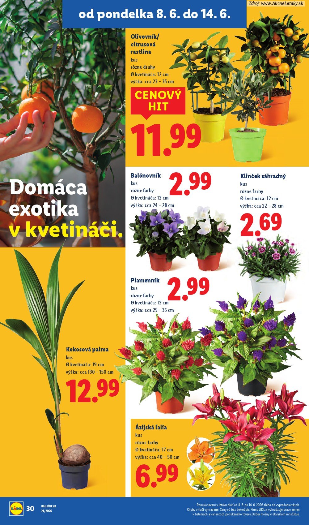 Leták Lidl (8. 6. - 14. 6. 2026) - strana 44 z 99