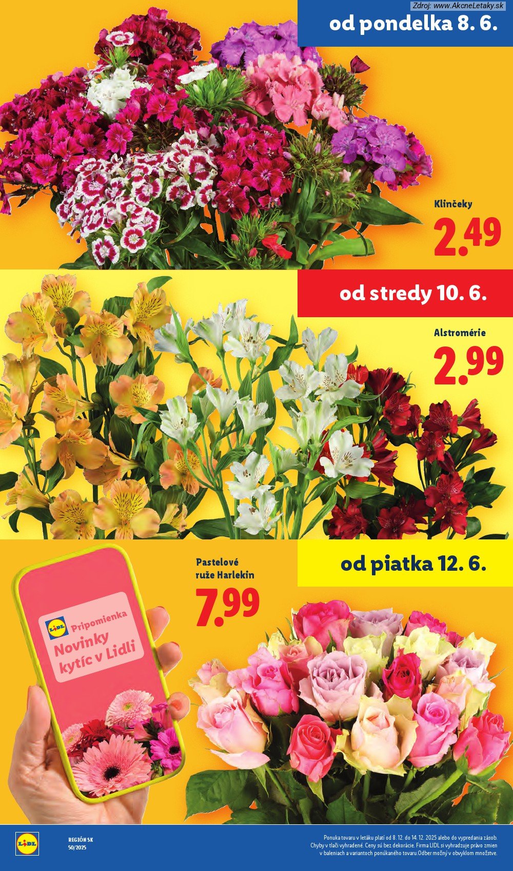 Leták Lidl (8. 6. - 14. 6. 2026) - strana 45 z 99