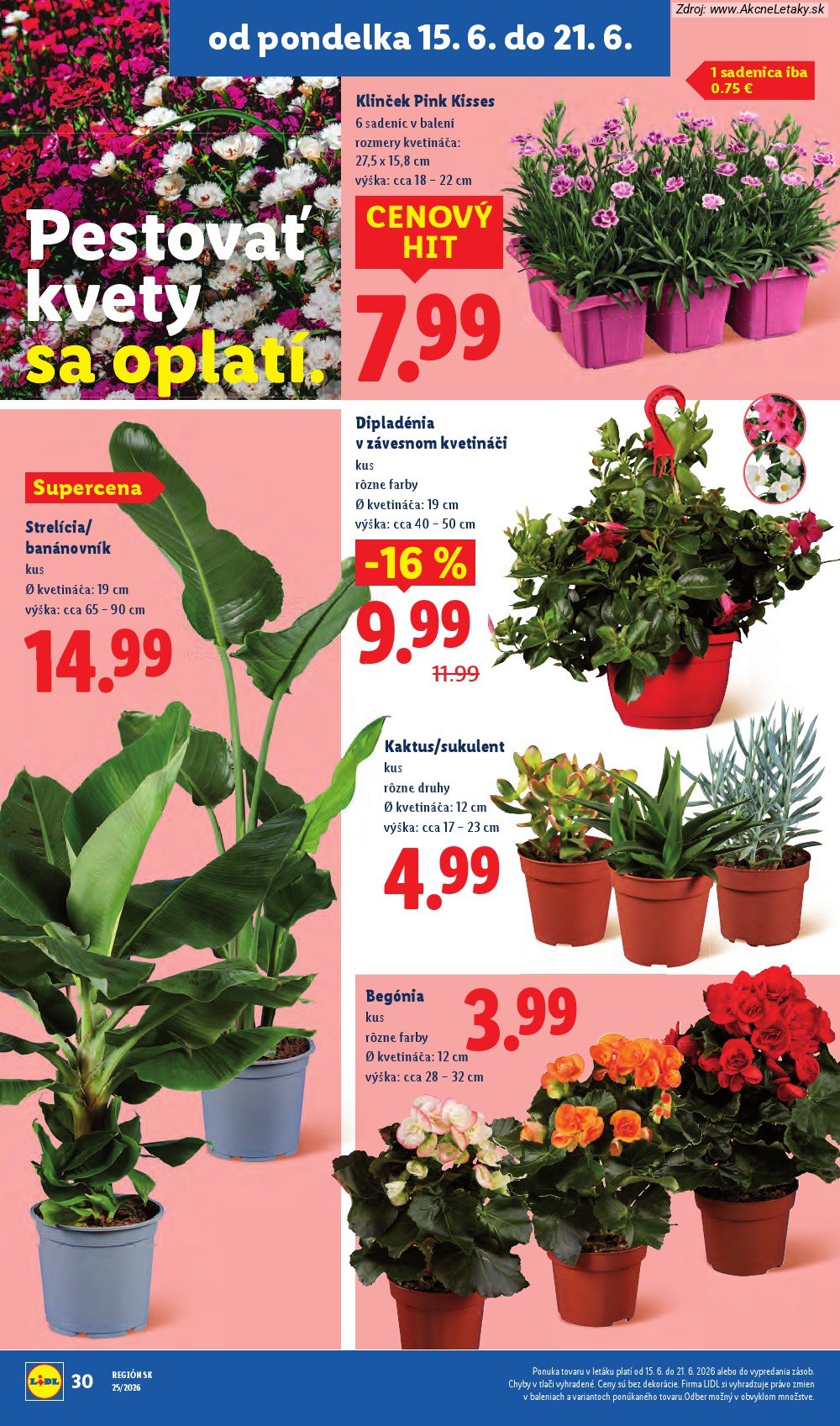 Leták Lidl (15. 6. - 21. 6. 2026) - strana 45 z 101