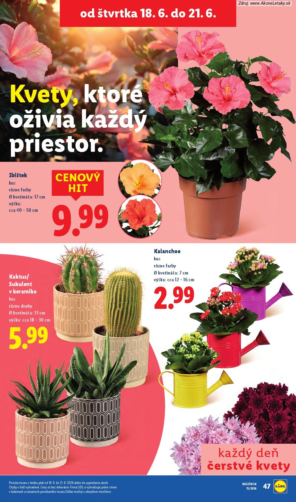 Leták Lidl (15. 6. - 21. 6. 2026) - strana 79 z 101