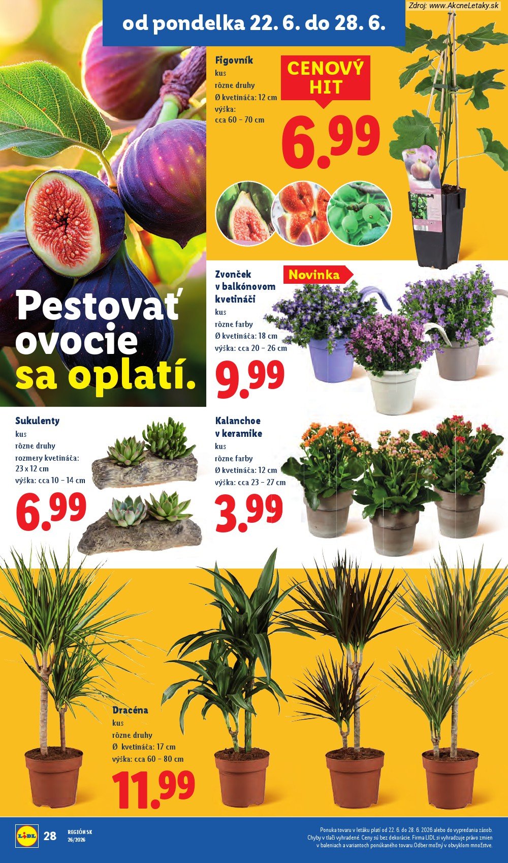 Leták Lidl (22. 6. - 28. 6. 2026) - strana 40 z 99