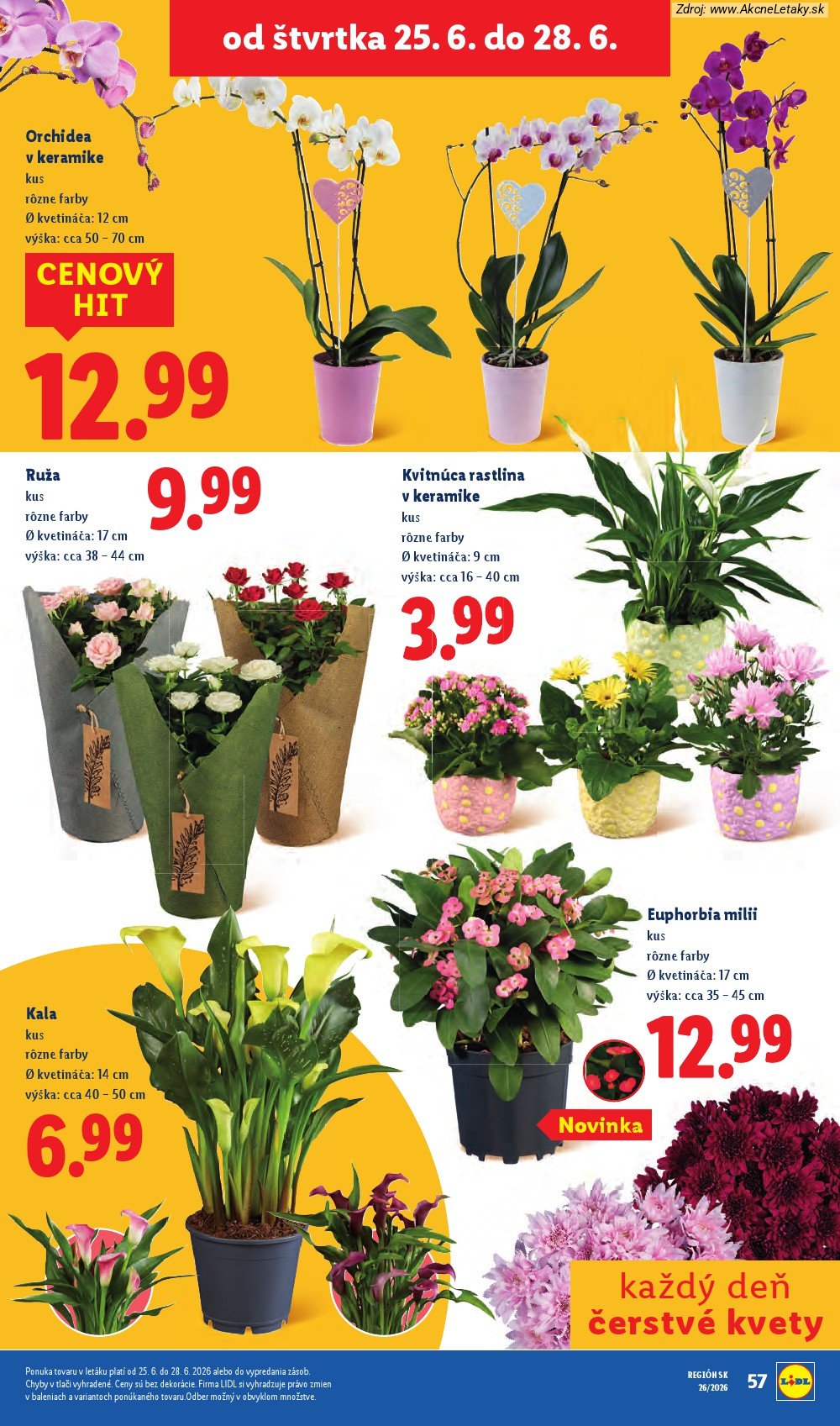 Leták Lidl (22. 6. - 28. 6. 2026) - strana 78 z 99