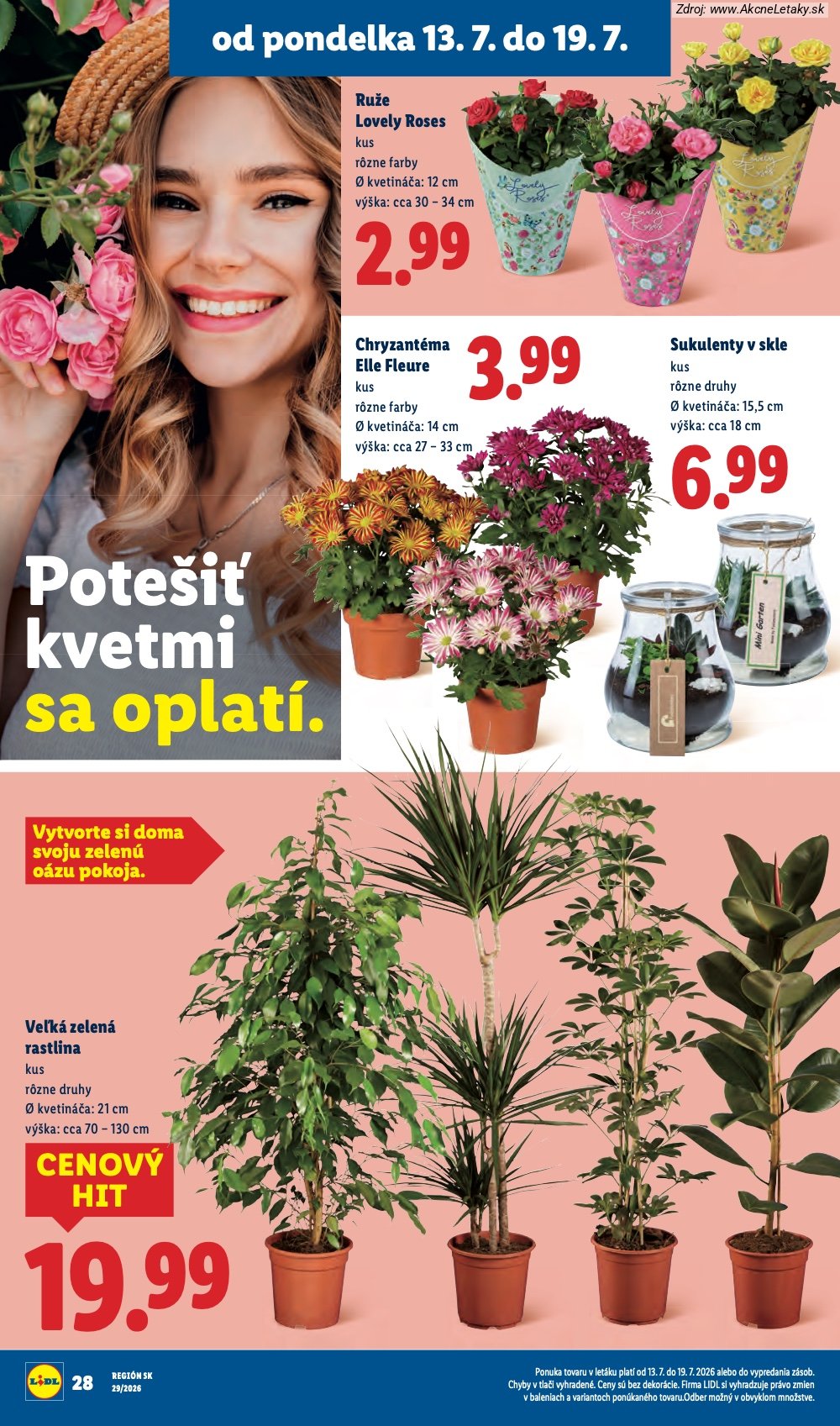 Leták Lidl (13. 7. - 19. 7. 2026) - strana 37 z 94
