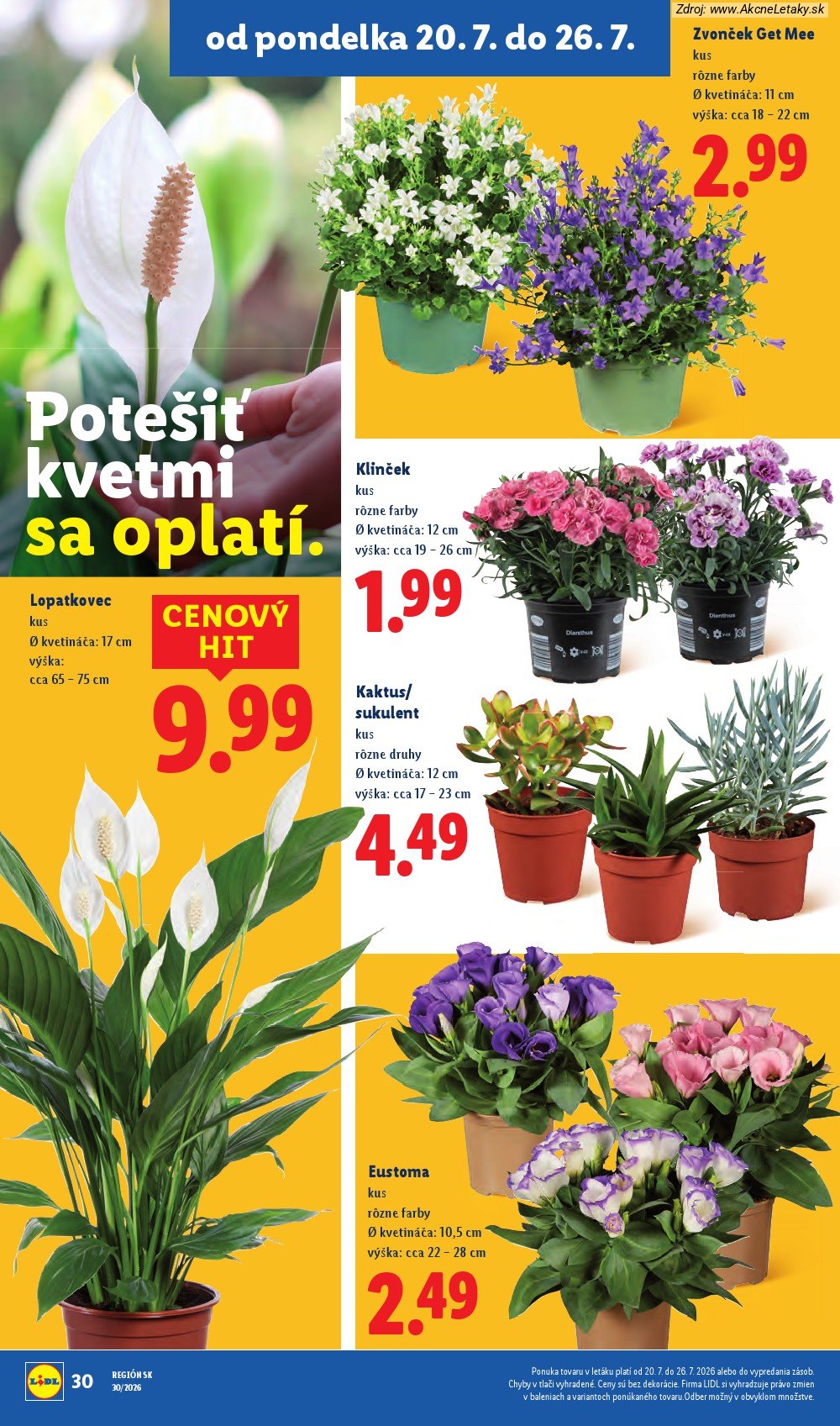 Leták Lidl - strana 51