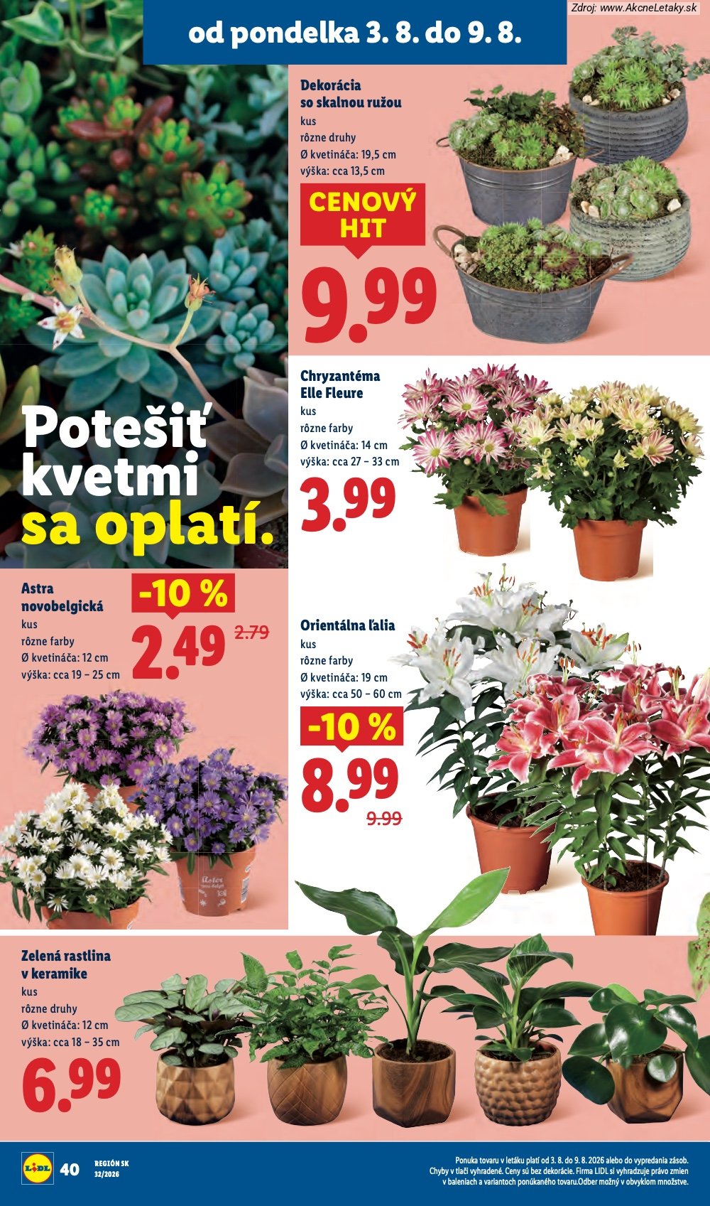 Leták Lidl (3. 8. - 9. 8. 2026) - strana 62 z 95