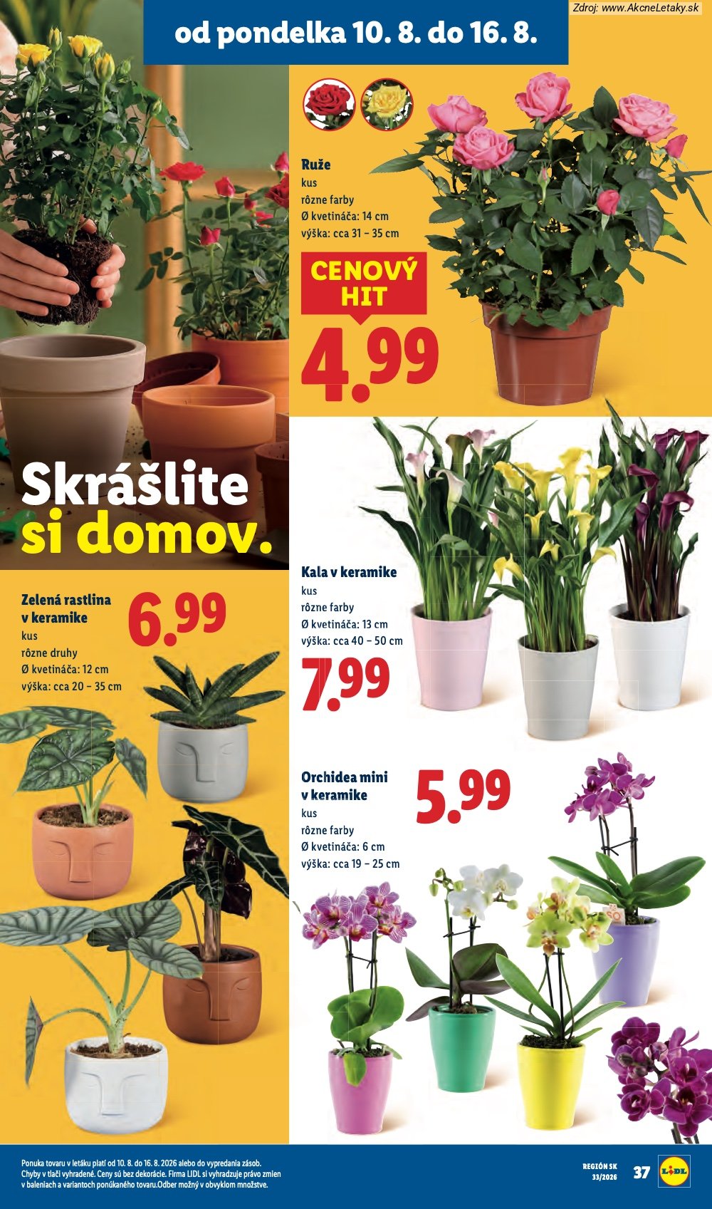 Leták Lidl (10. 8. - 16. 8. 2026) - strana 61 z 97