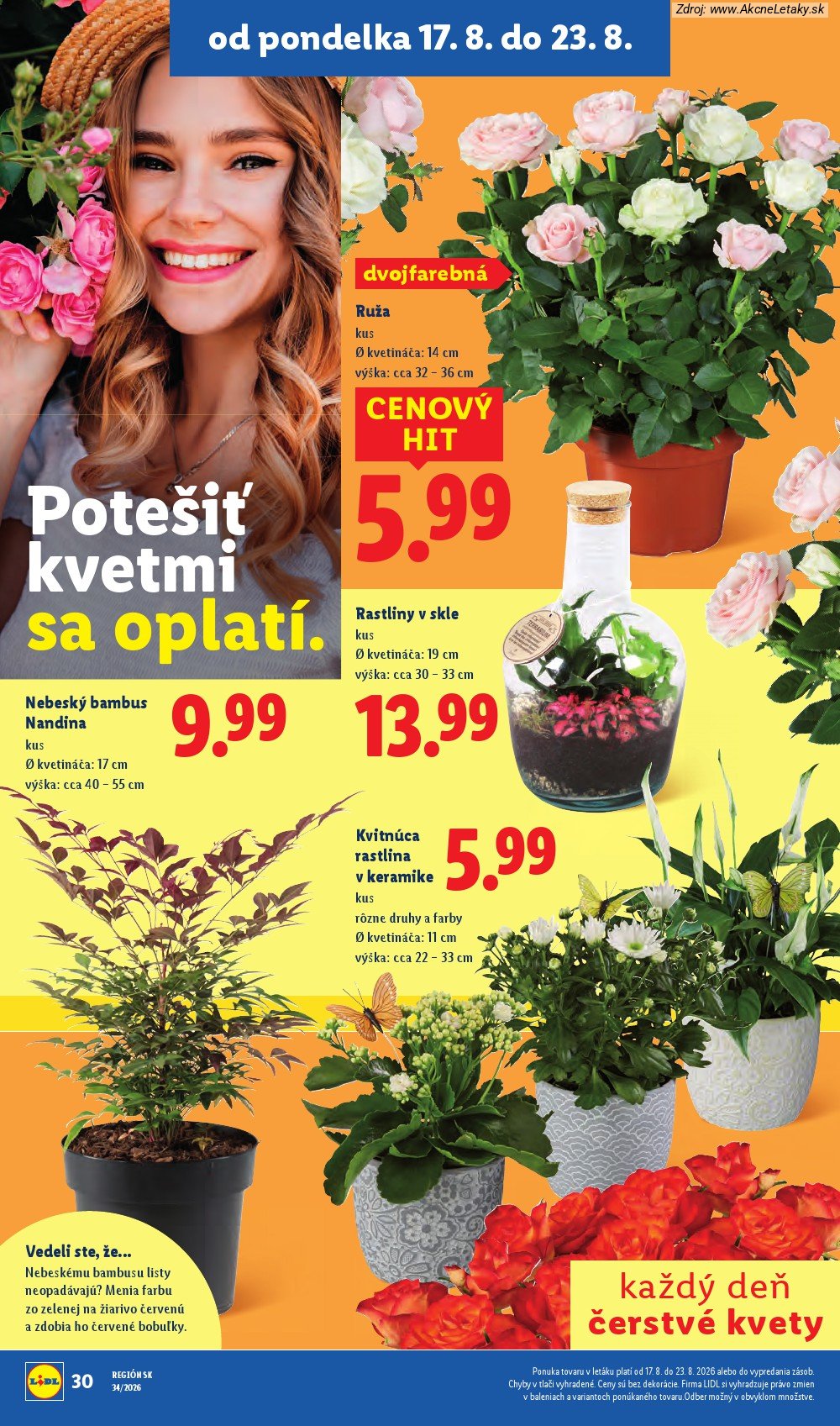 Leták Lidl (17. 8. - 23. 8. 2026) - strana 42 z 95