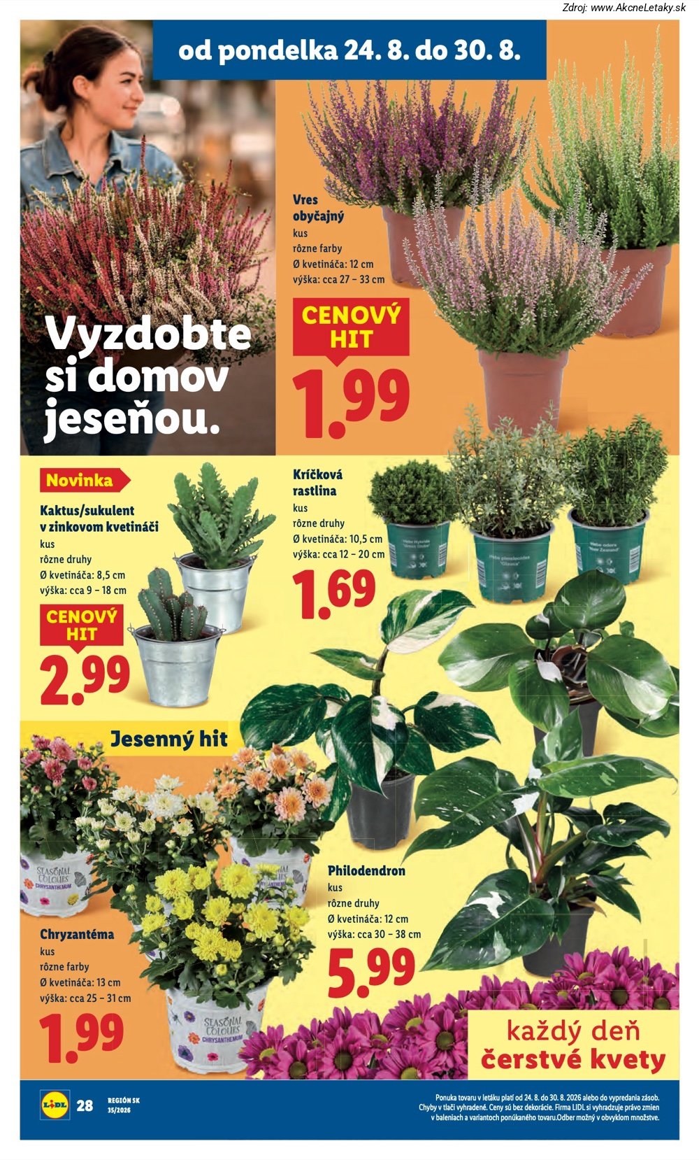 Leták Lidl - strana 51