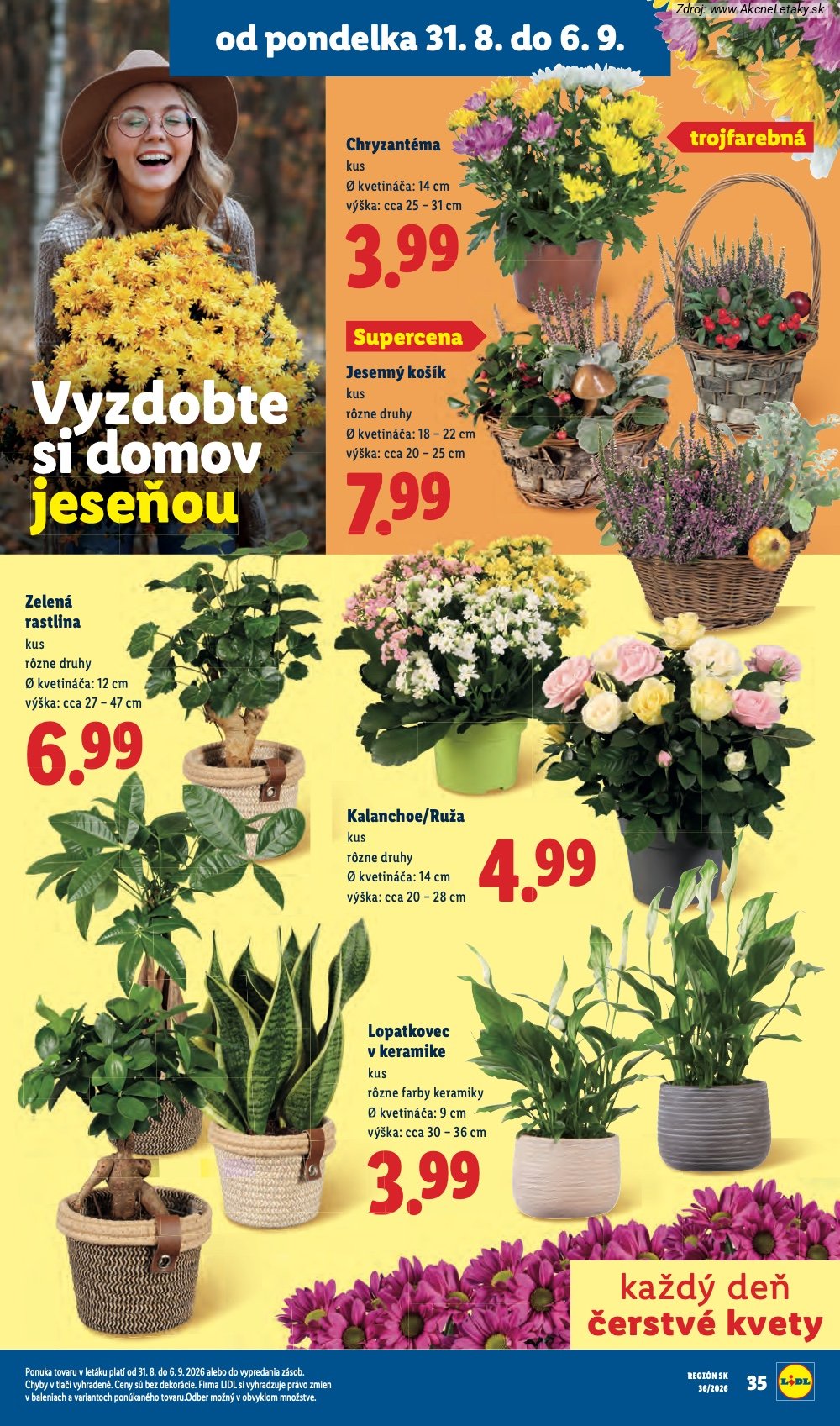 Leták Lidl - strana 49