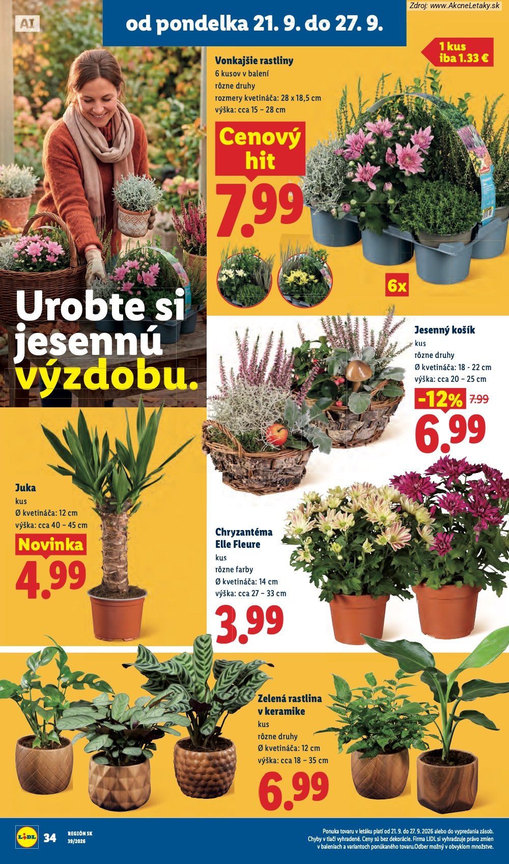 Leták Lidl (21. 9. - 27. 9. 2026) - strana 49 z 102