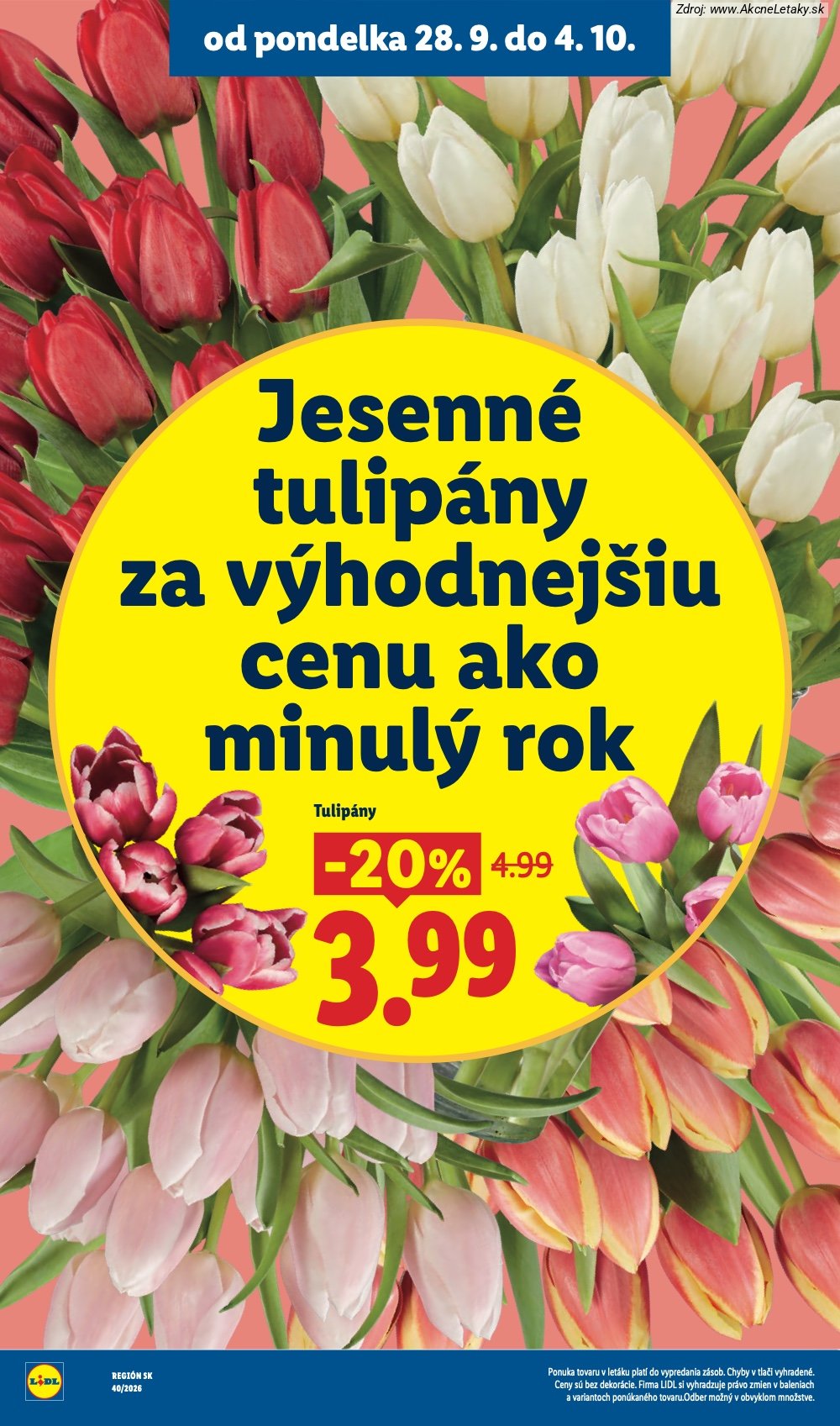 Leták Lidl - strana 50