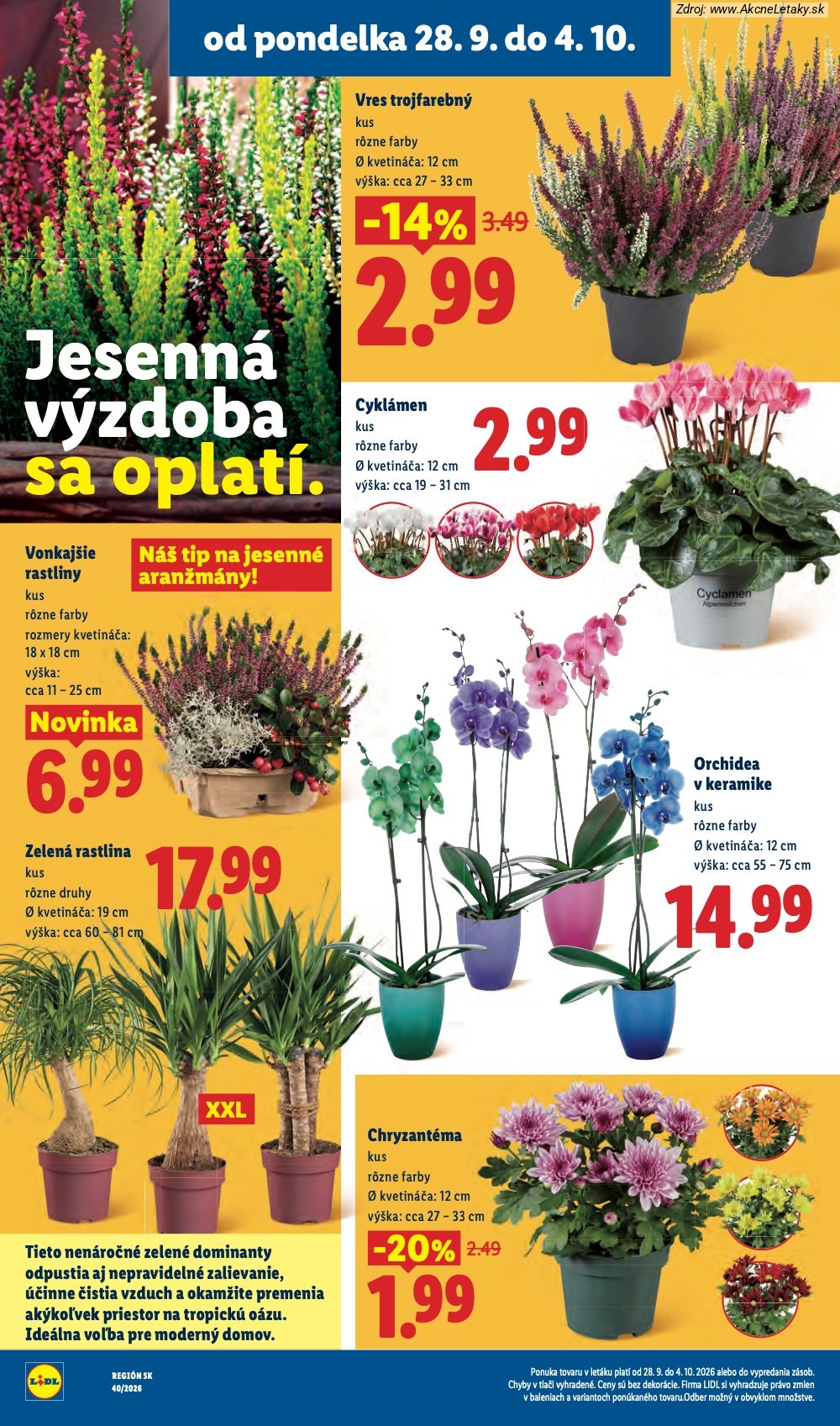 Leták Lidl (28. 9. - 4. 10. 2026) - strana 51 z 100