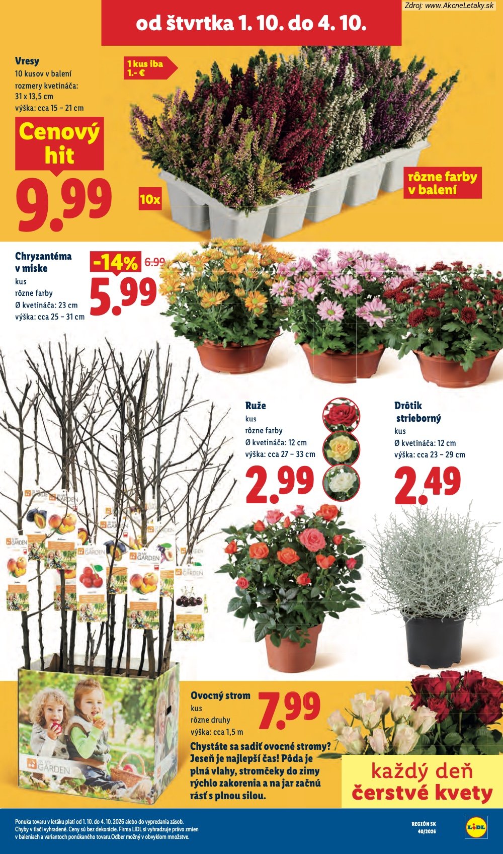 Leták Lidl (28. 9. - 4. 10. 2026) - strana 81 z 100