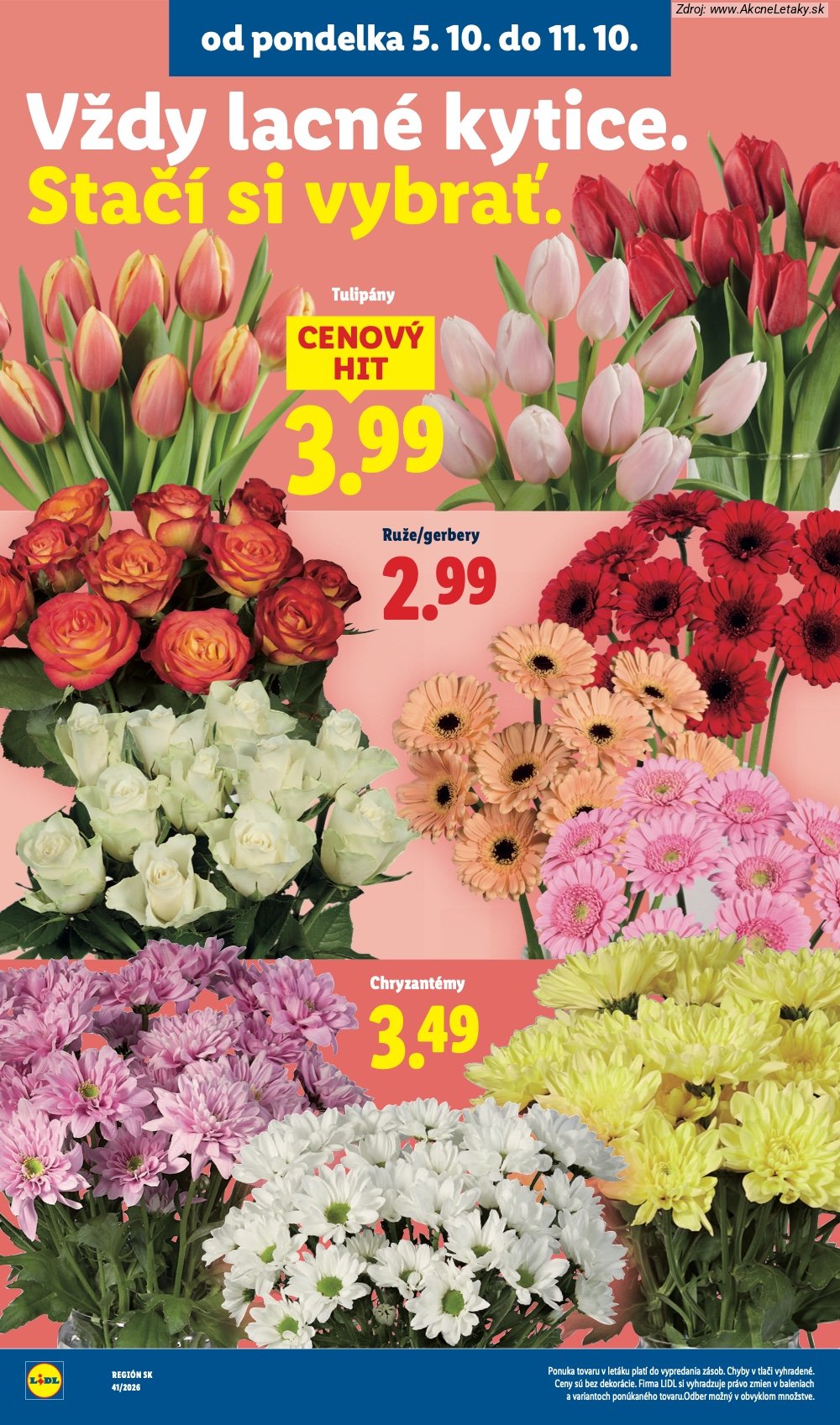 Leták Lidl - strana 45